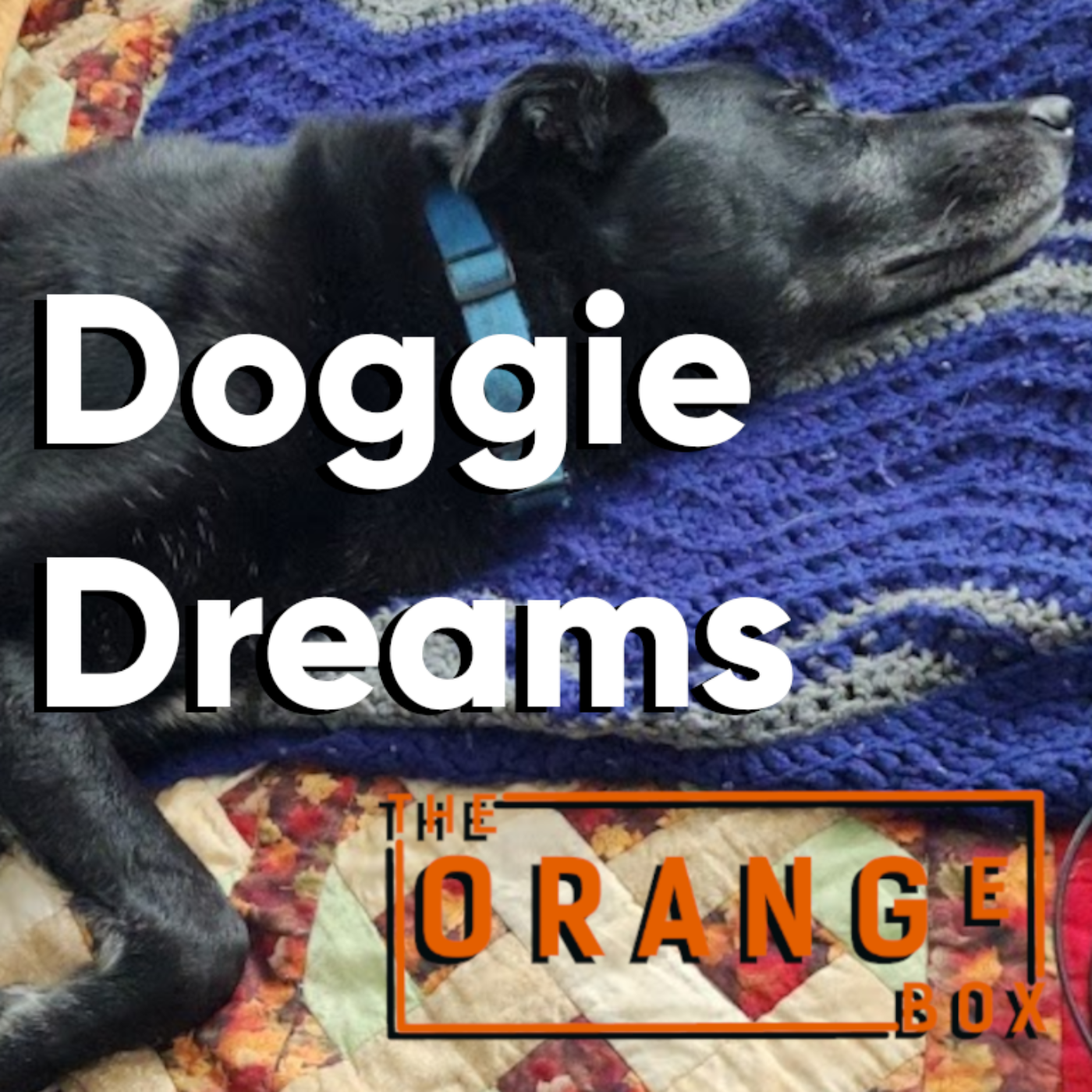 The Orange Box Podcast