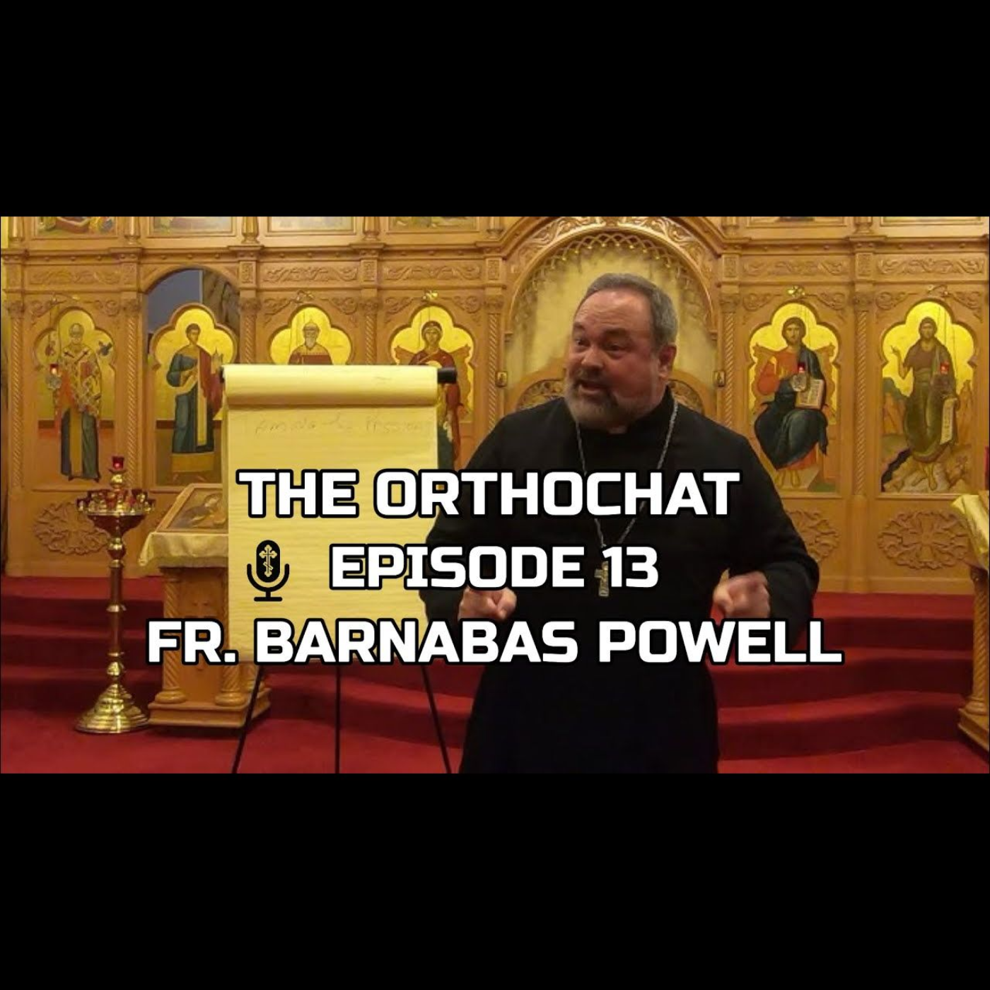 THE ORTHOCHAT