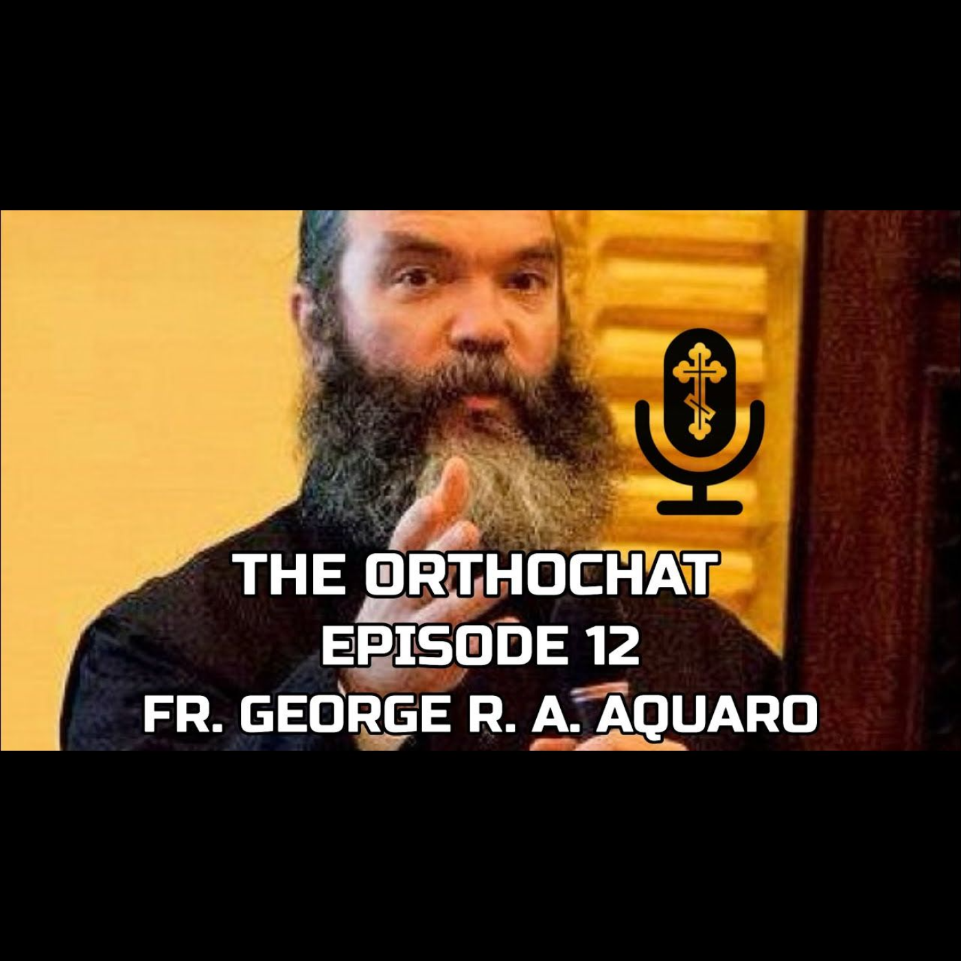 THE ORTHOCHAT