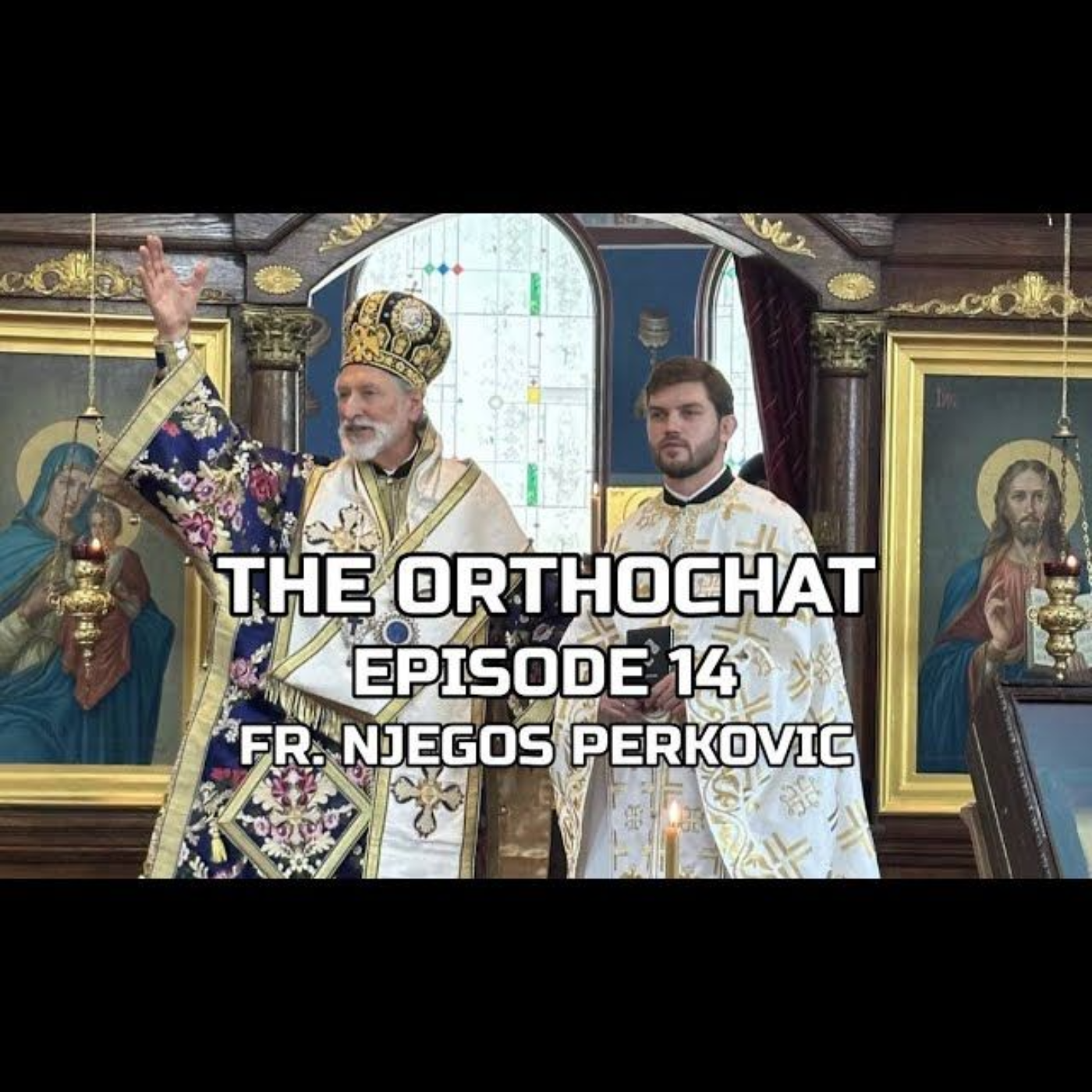 THE ORTHOCHAT