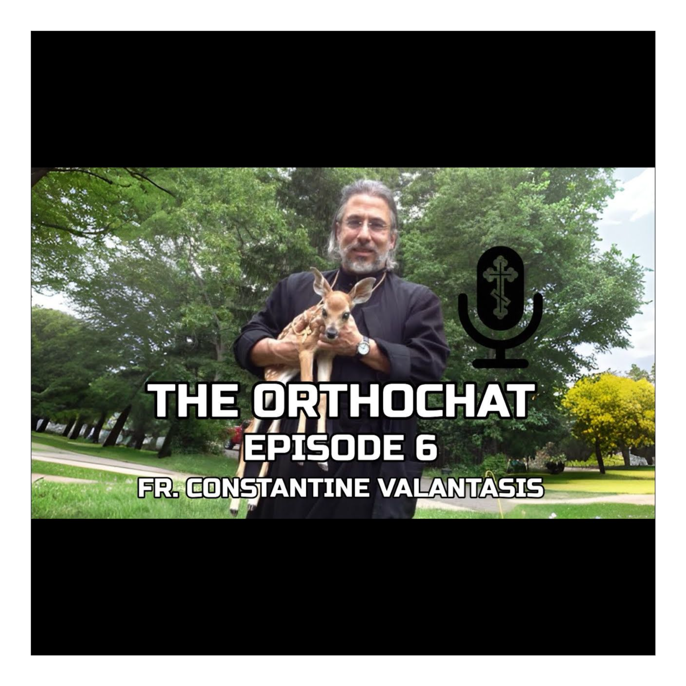 THE ORTHOCHAT
