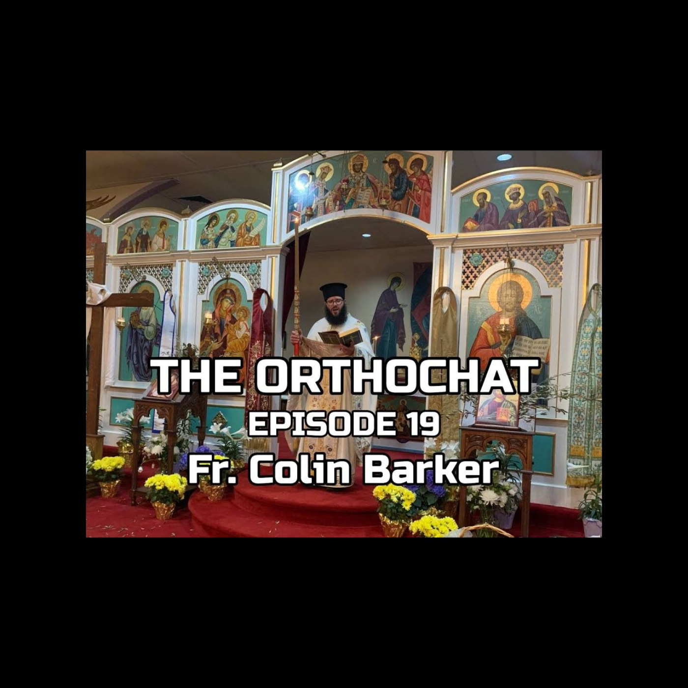 THE ORTHOCHAT