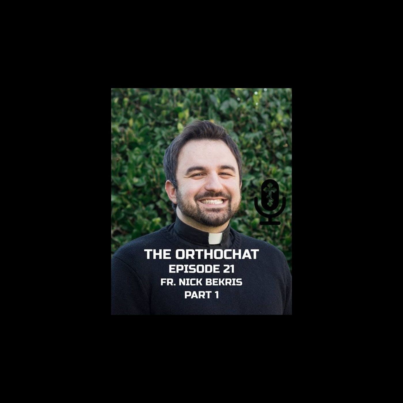 THE ORTHOCHAT