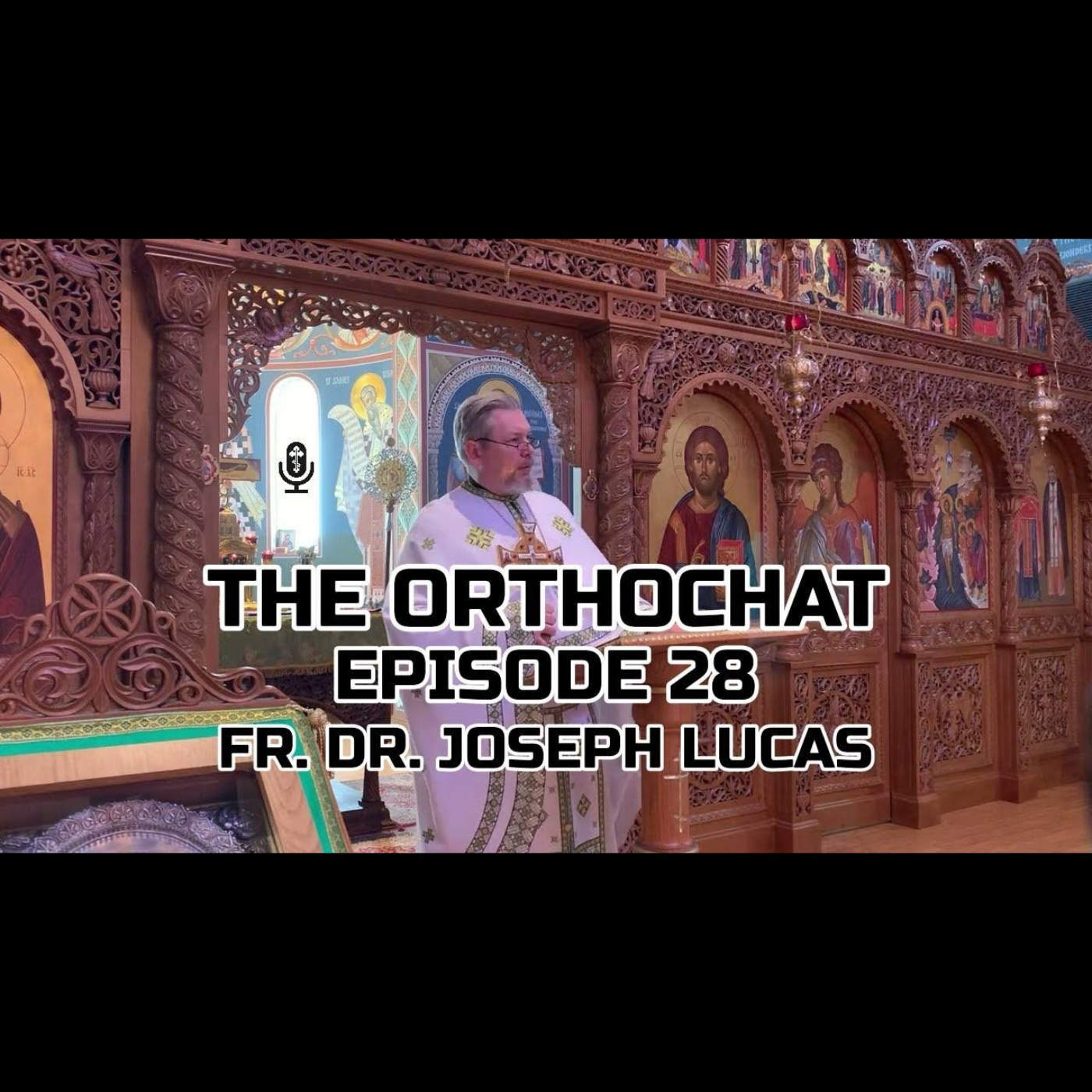 THE ORTHOCHAT