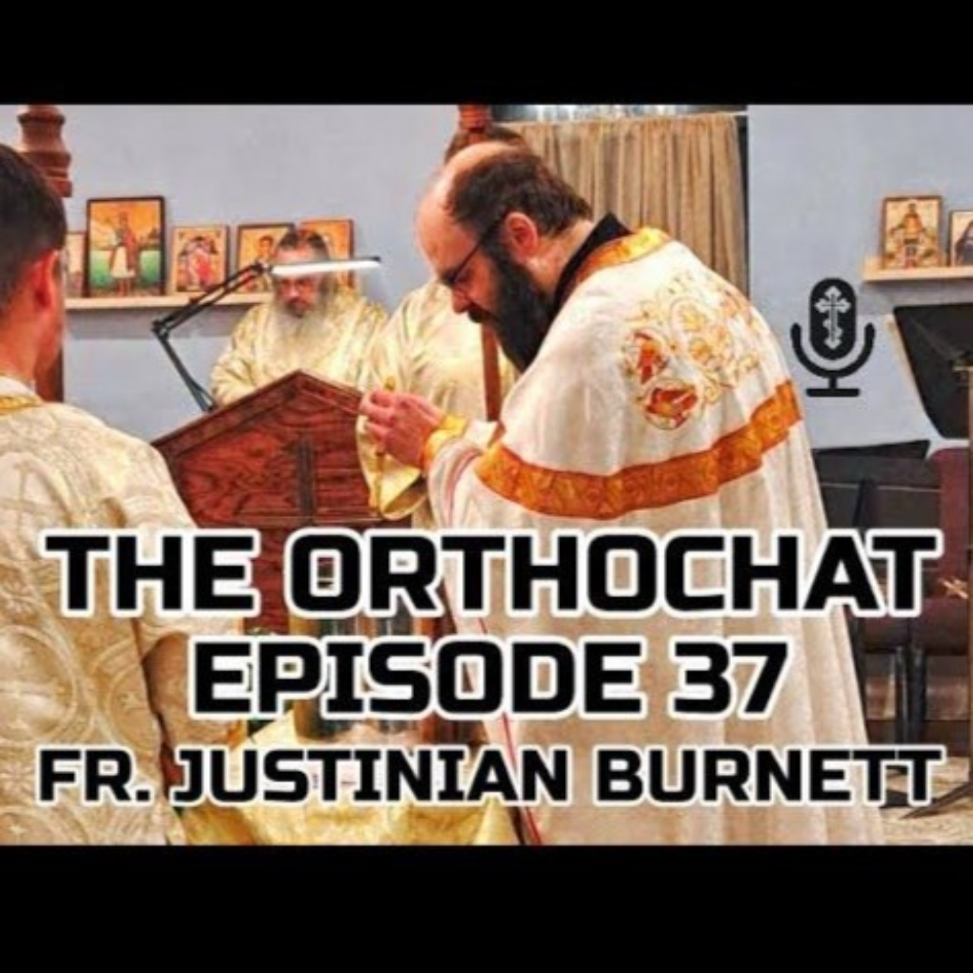 THE ORTHOCHAT