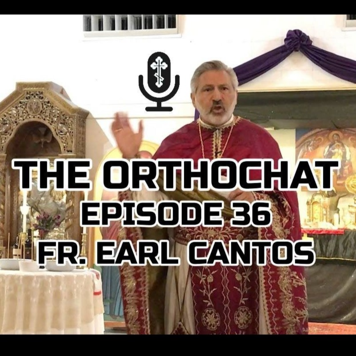 THE ORTHOCHAT