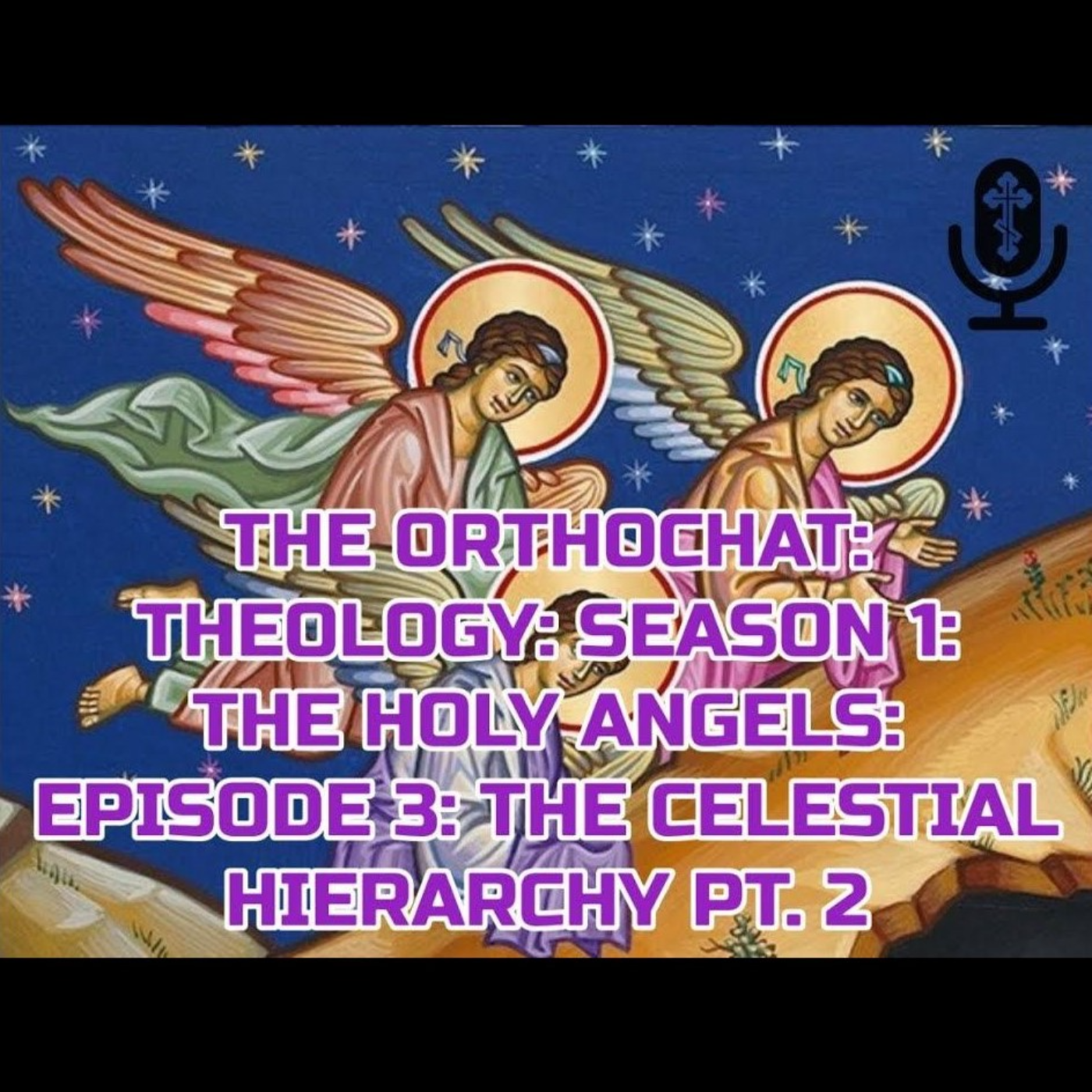THE ORTHOCHAT