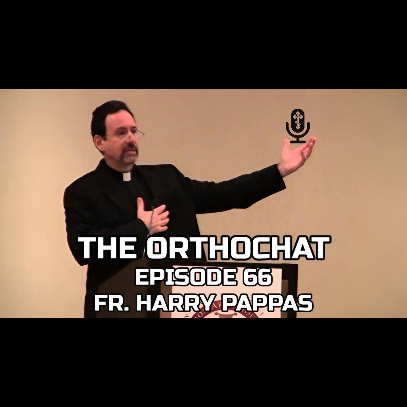THE ORTHOCHAT