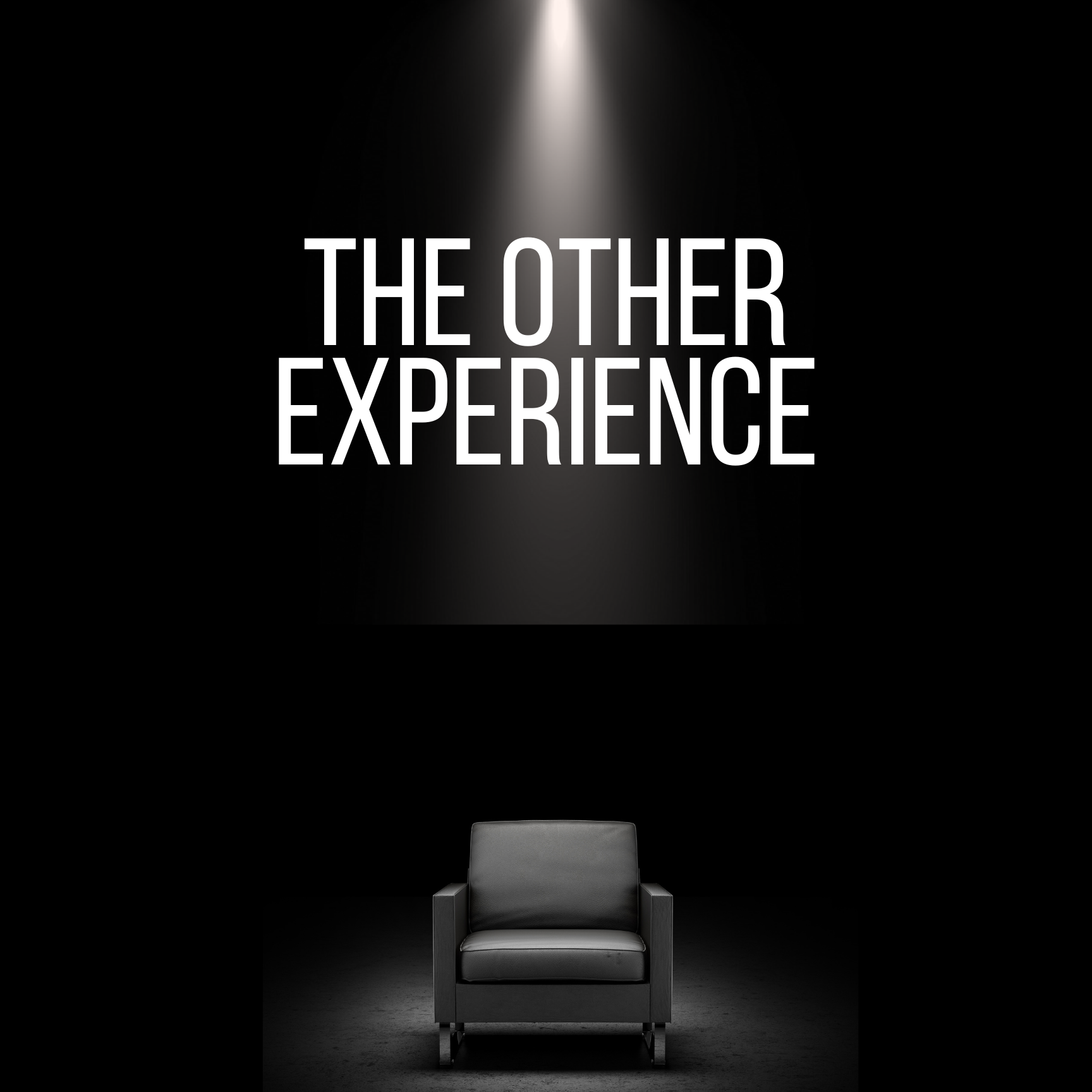 The Other Experience