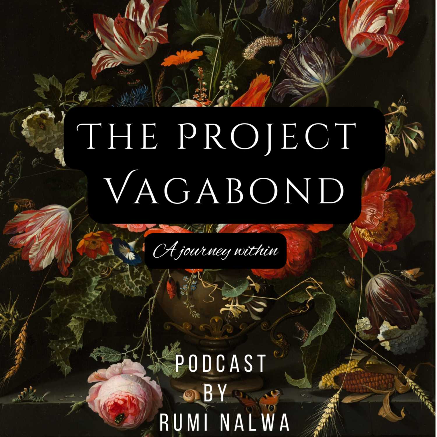 Kuch Baatein Essi Bhi - EP.1 - Retrospect - The Project Vagabond (Hindi/Urdu)