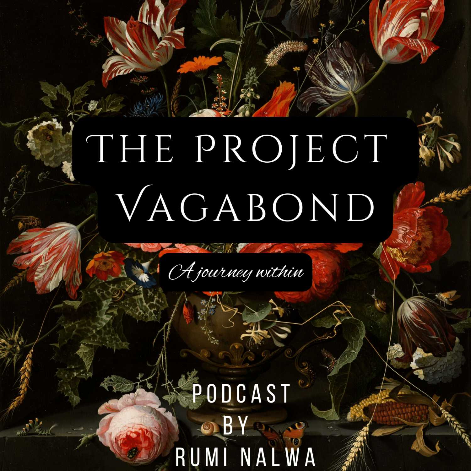 Environ-mental - The Project Vagabond - Rumi Nalwa - Episode 3 - English