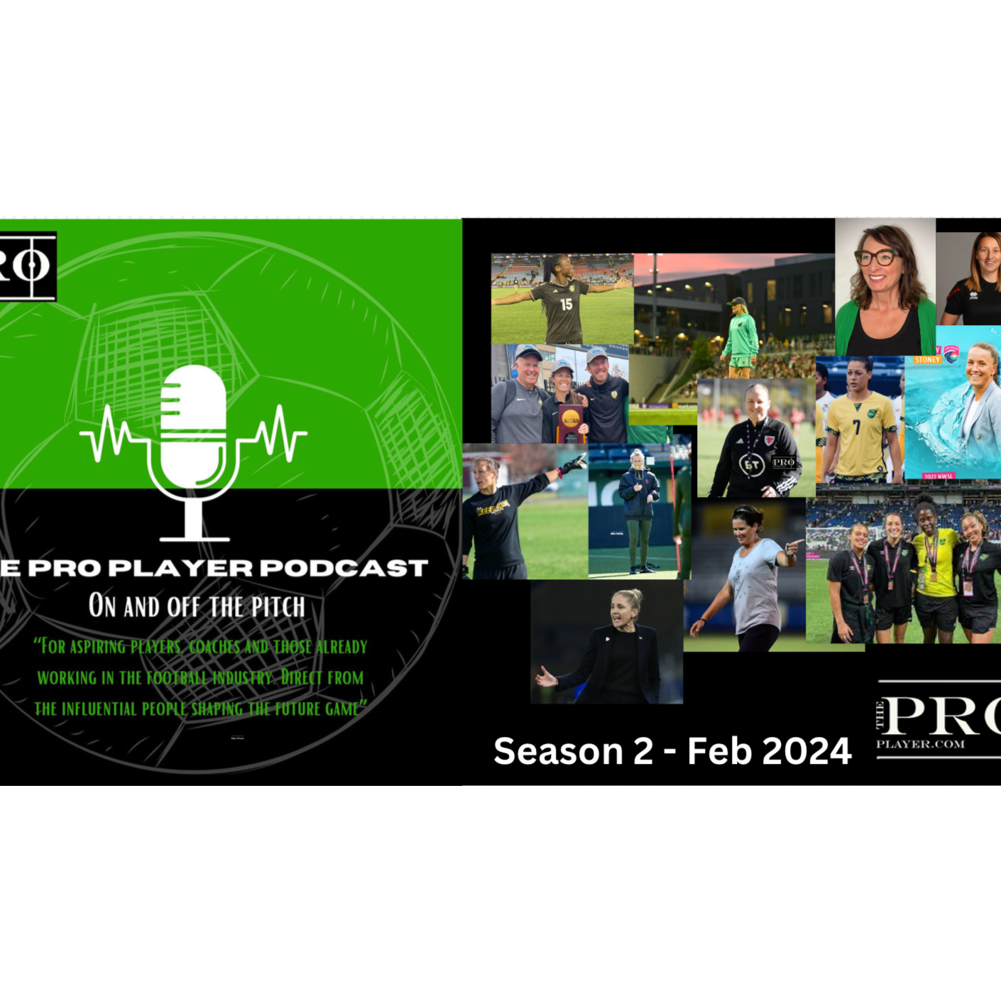 The ProPlayer Podcast