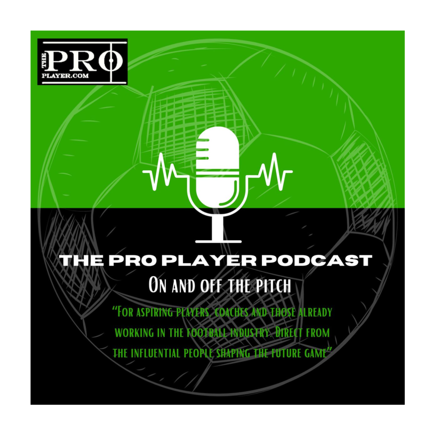 The ProPlayer Podcast