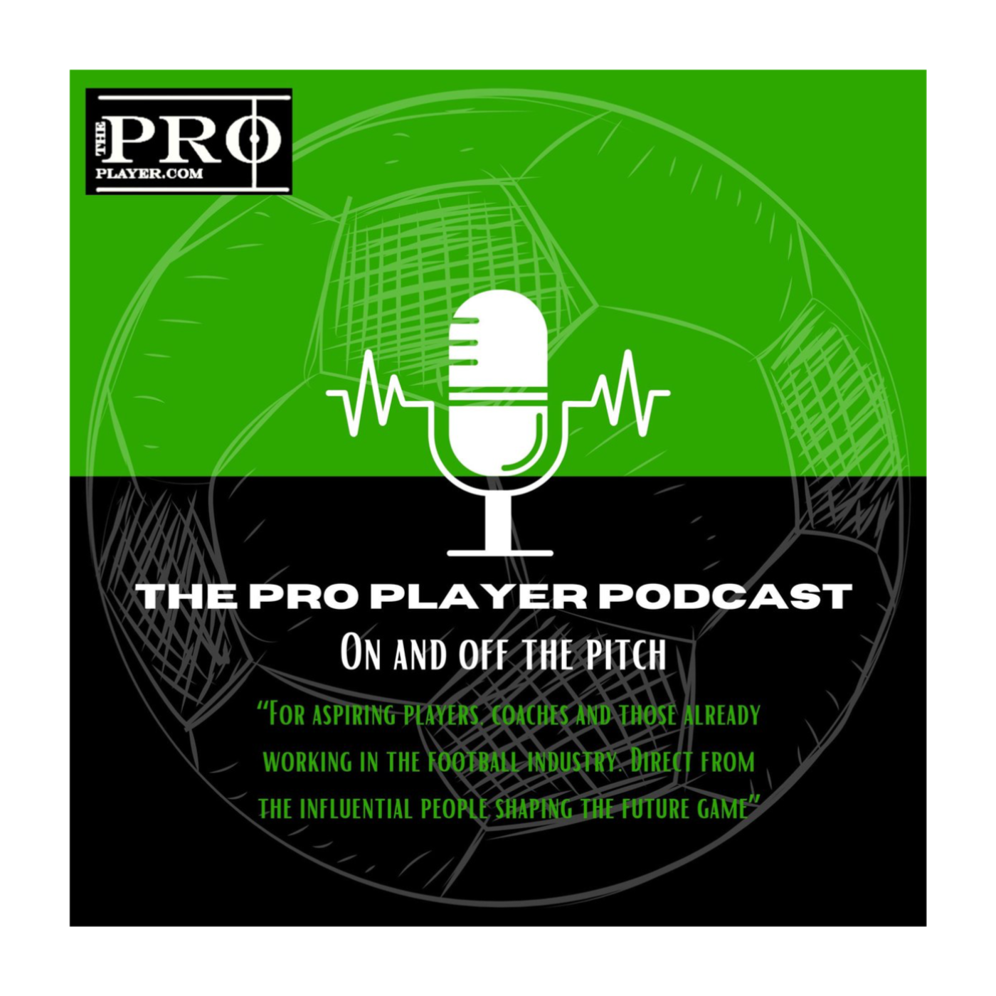 The ProPlayer Podcast