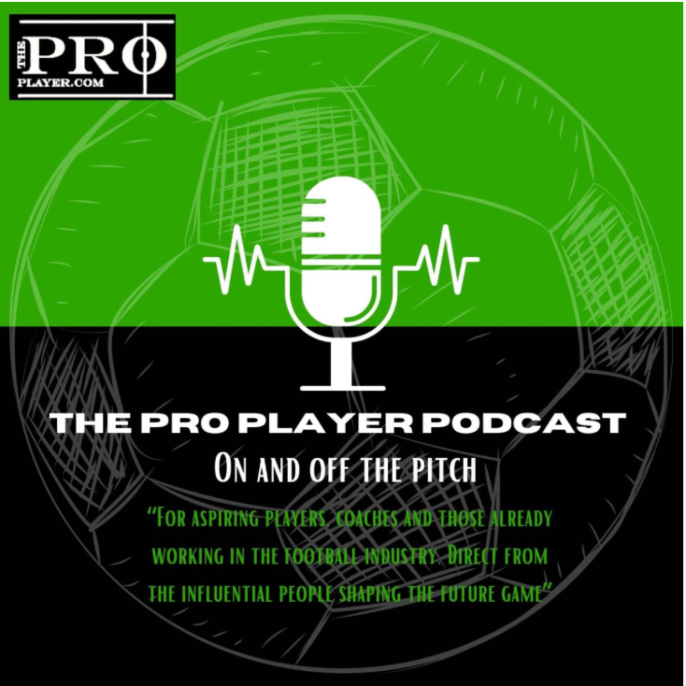 The ProPlayer Podcast