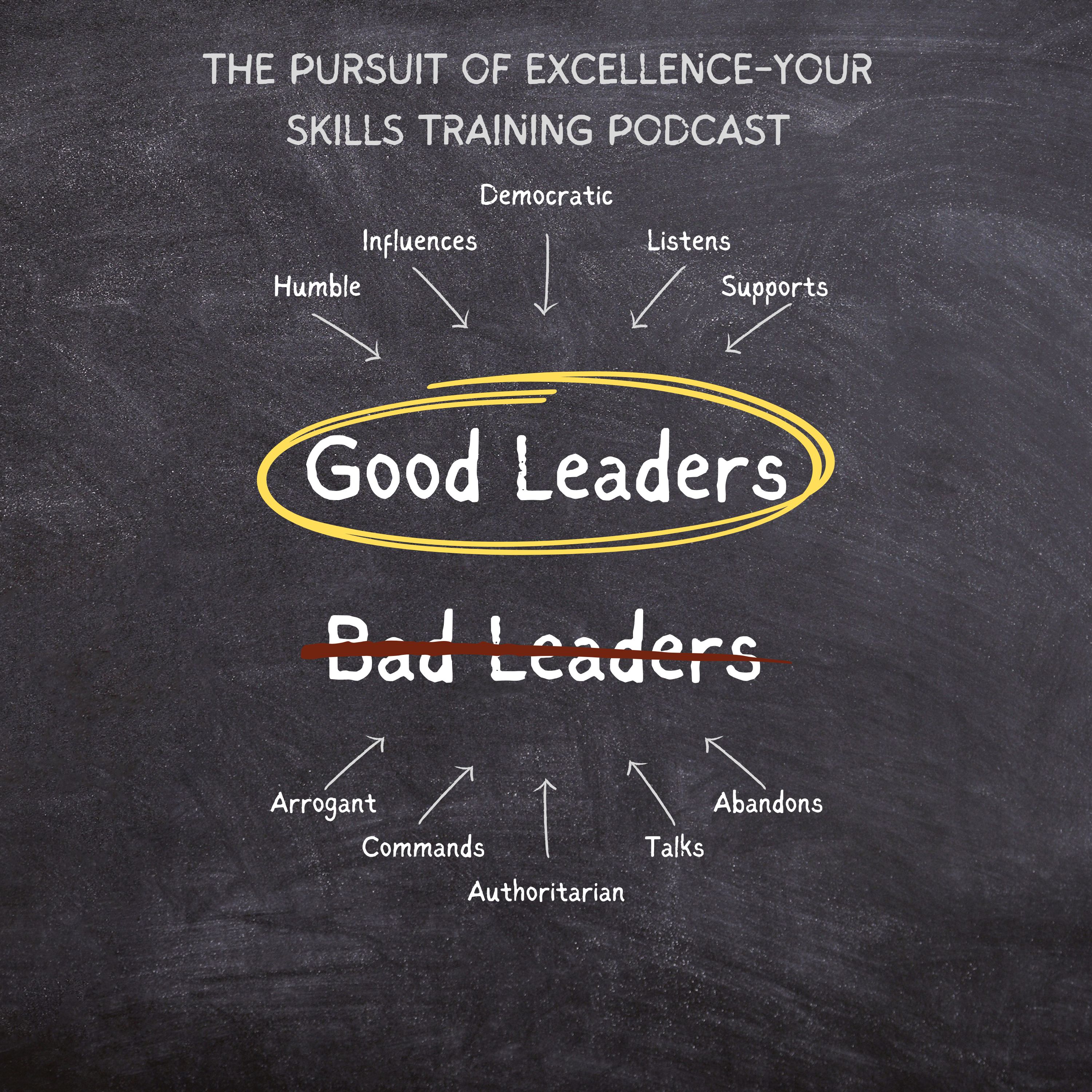 The Pursuit of Excellence-Your Skills Training Podcast cover art