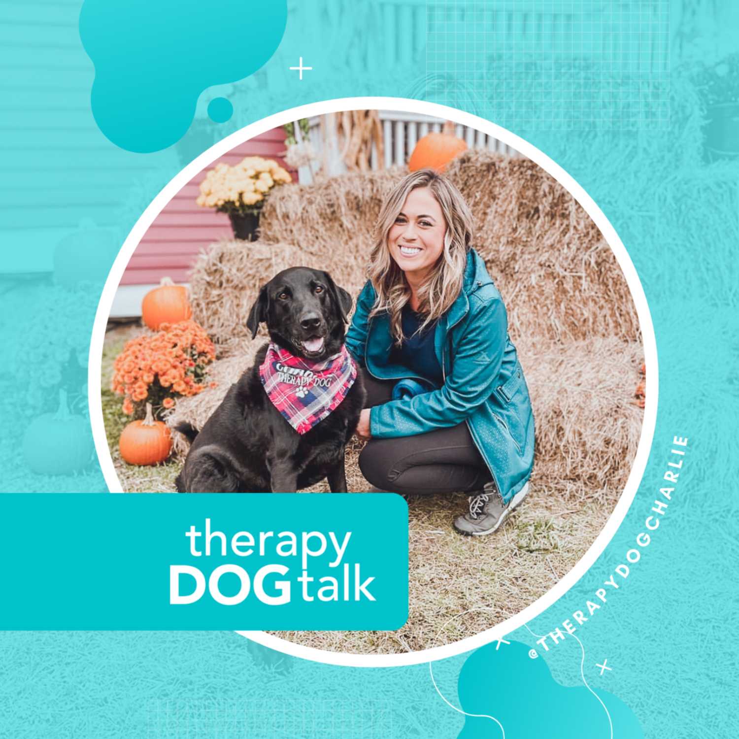 Therapy Dog Talk