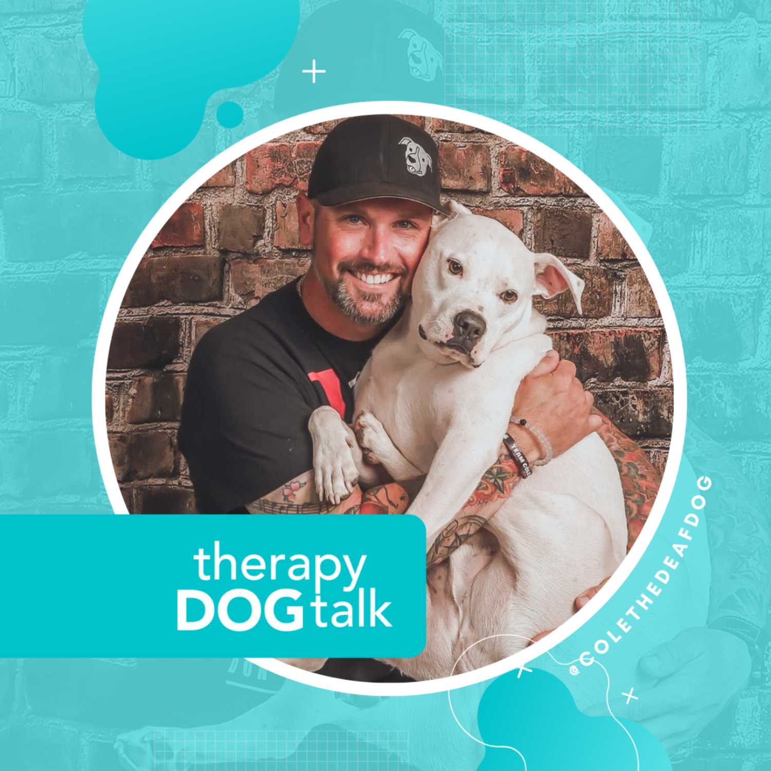 Therapy Dog Talk