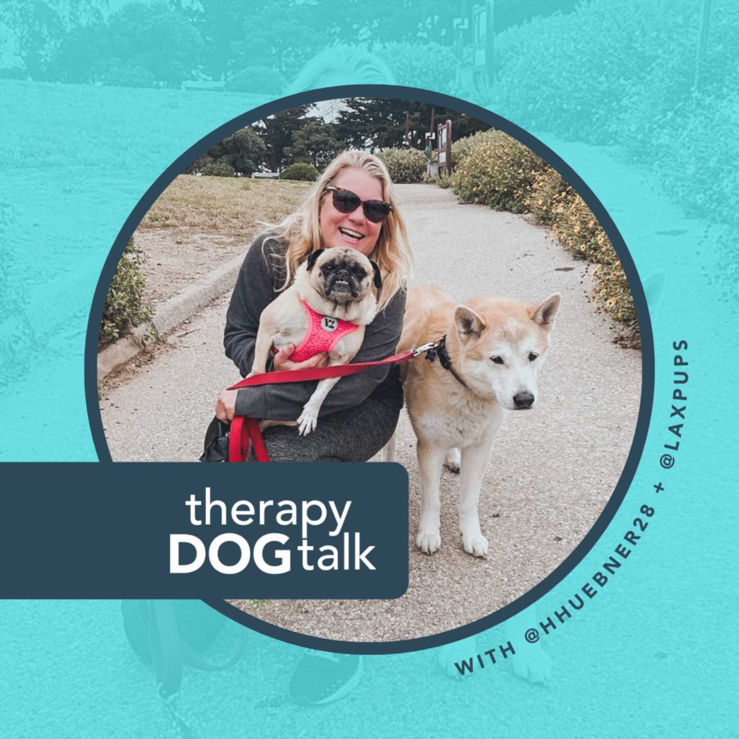Heidi, Chance & Chubs: An Airport Therapy Dog Coordinator.