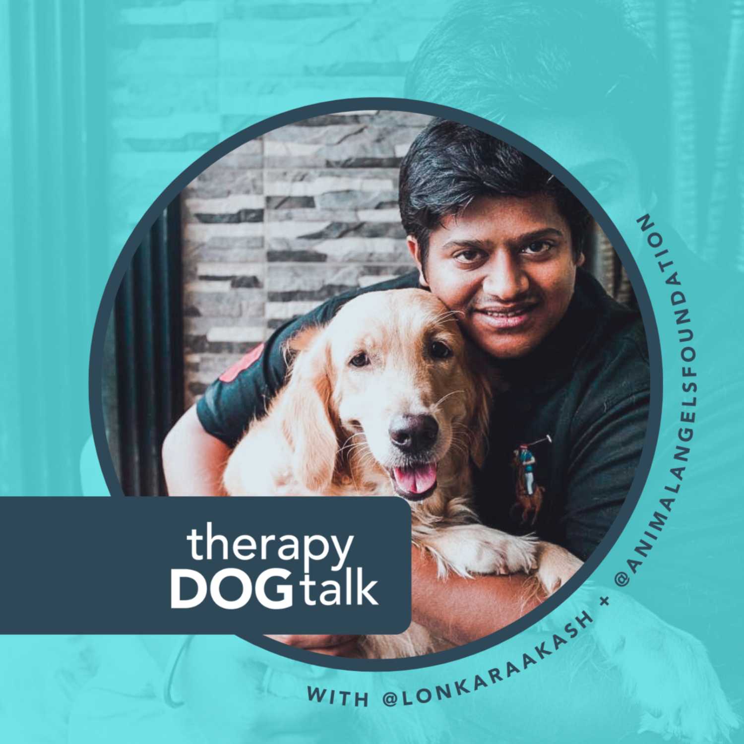 Therapy Dog Talk