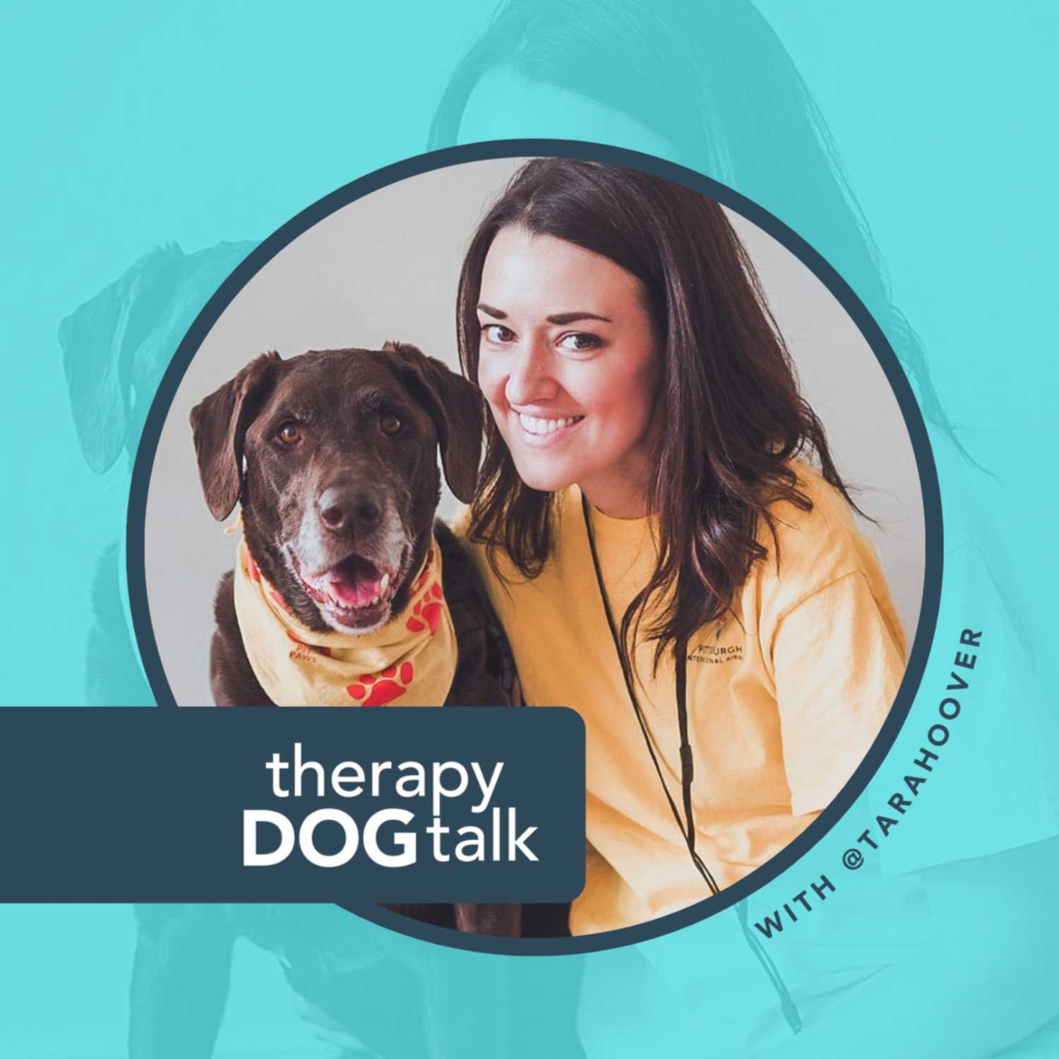 Therapy Dog Talk