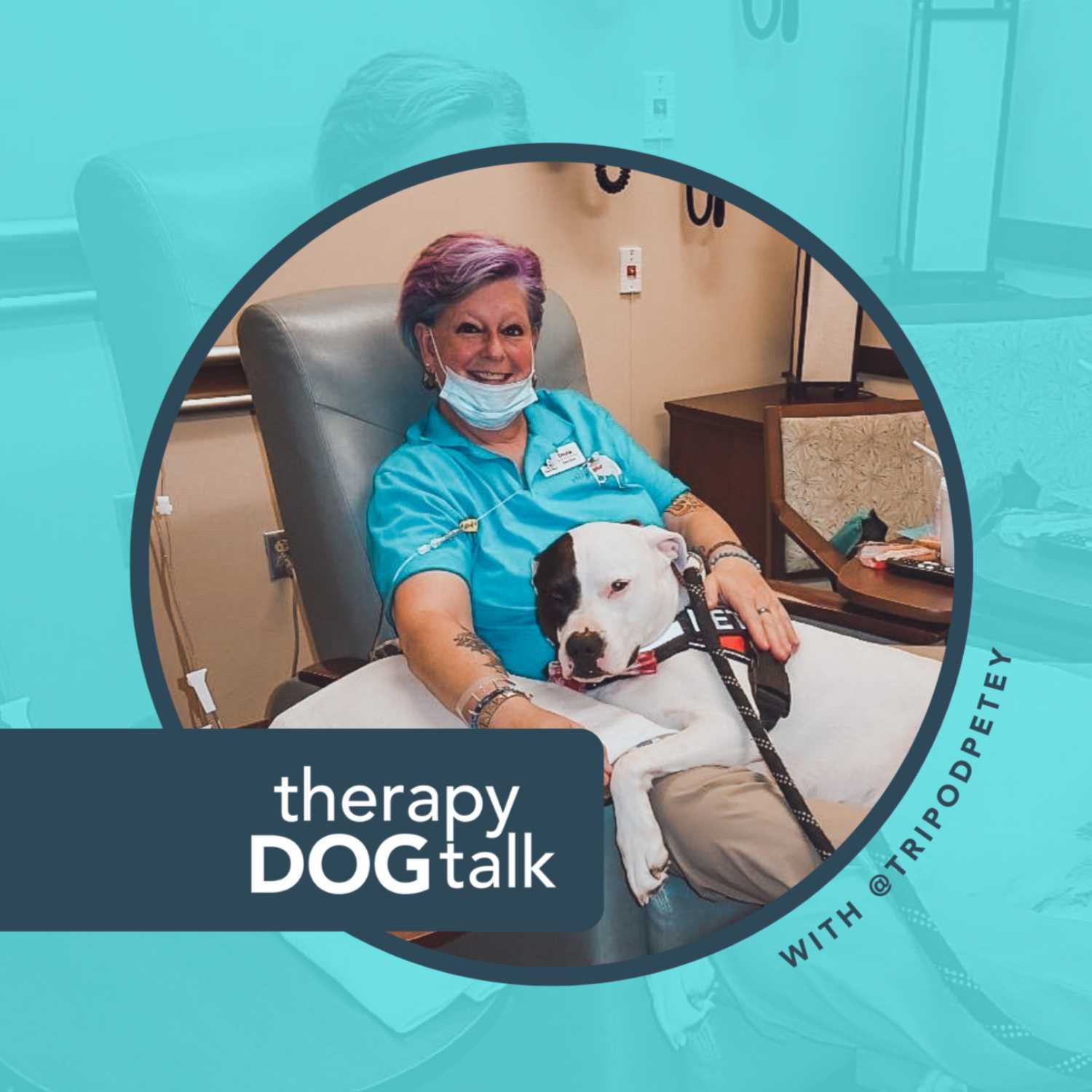 Therapy Dog Talk