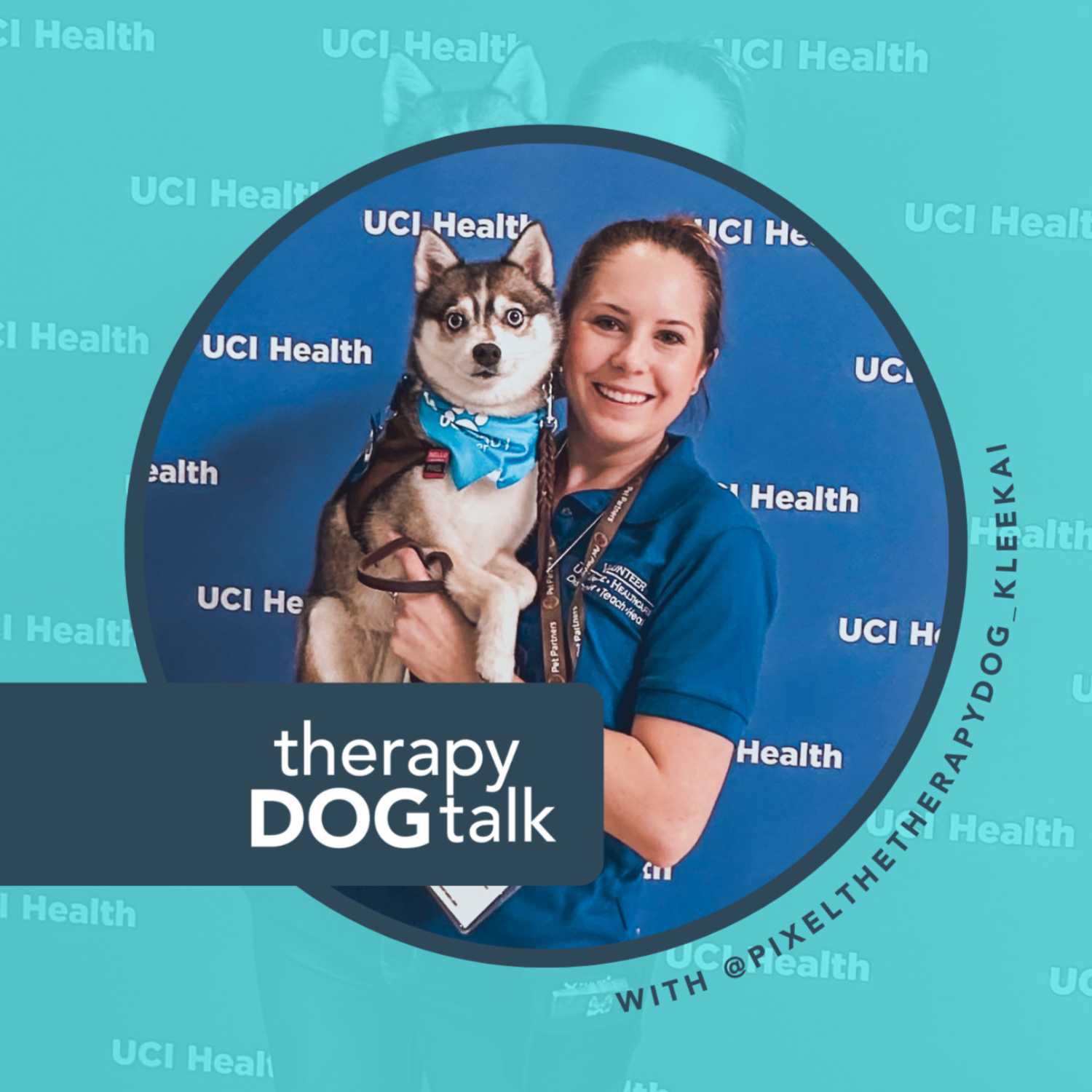 Sarah + Pixel: A Klee Kai Therapy Dog team in California.