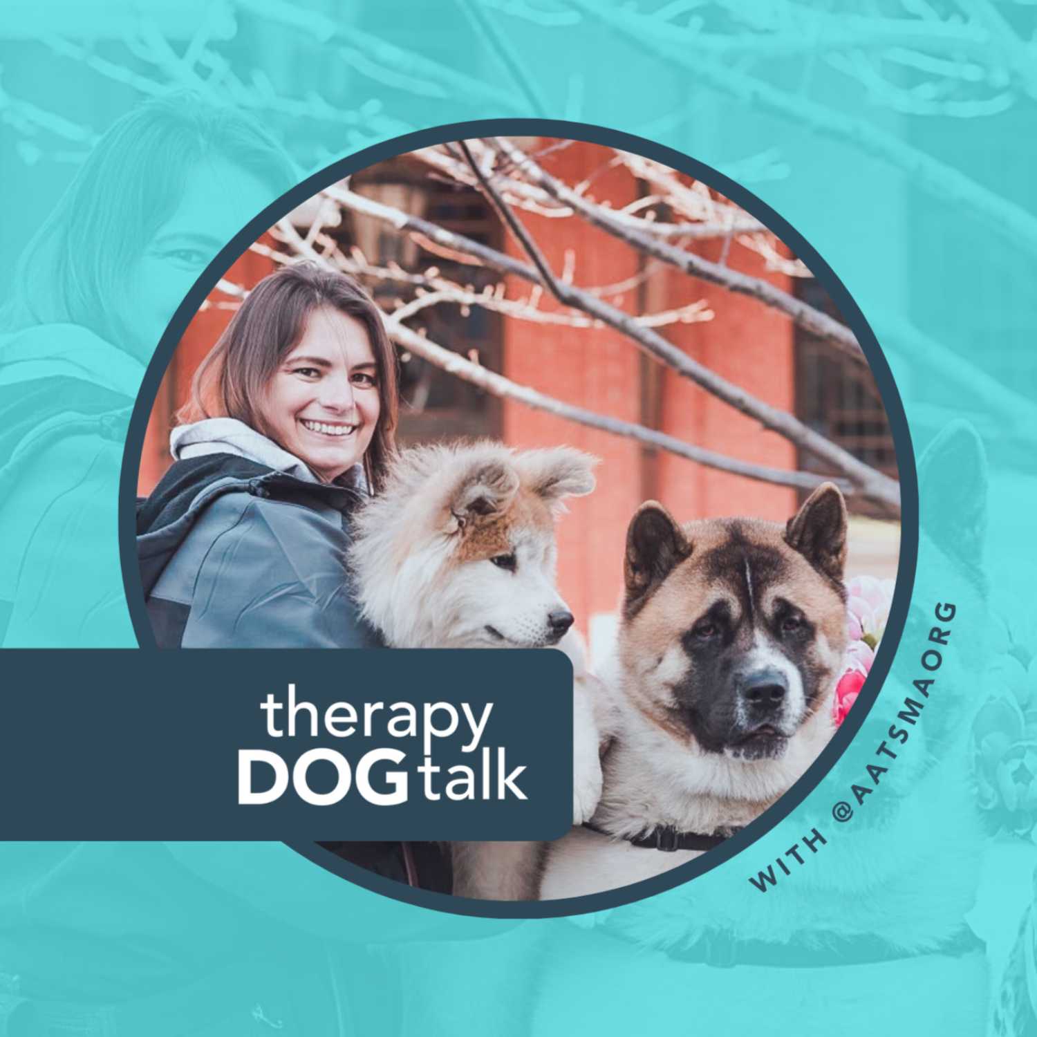 Kim + Tomo & Toshi: An Akita Therapy Dog team in MA.