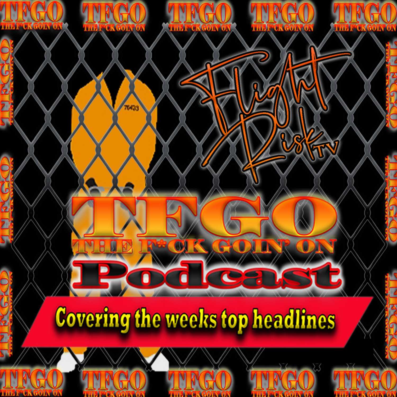 TFGO (The F*ck Goin' On)