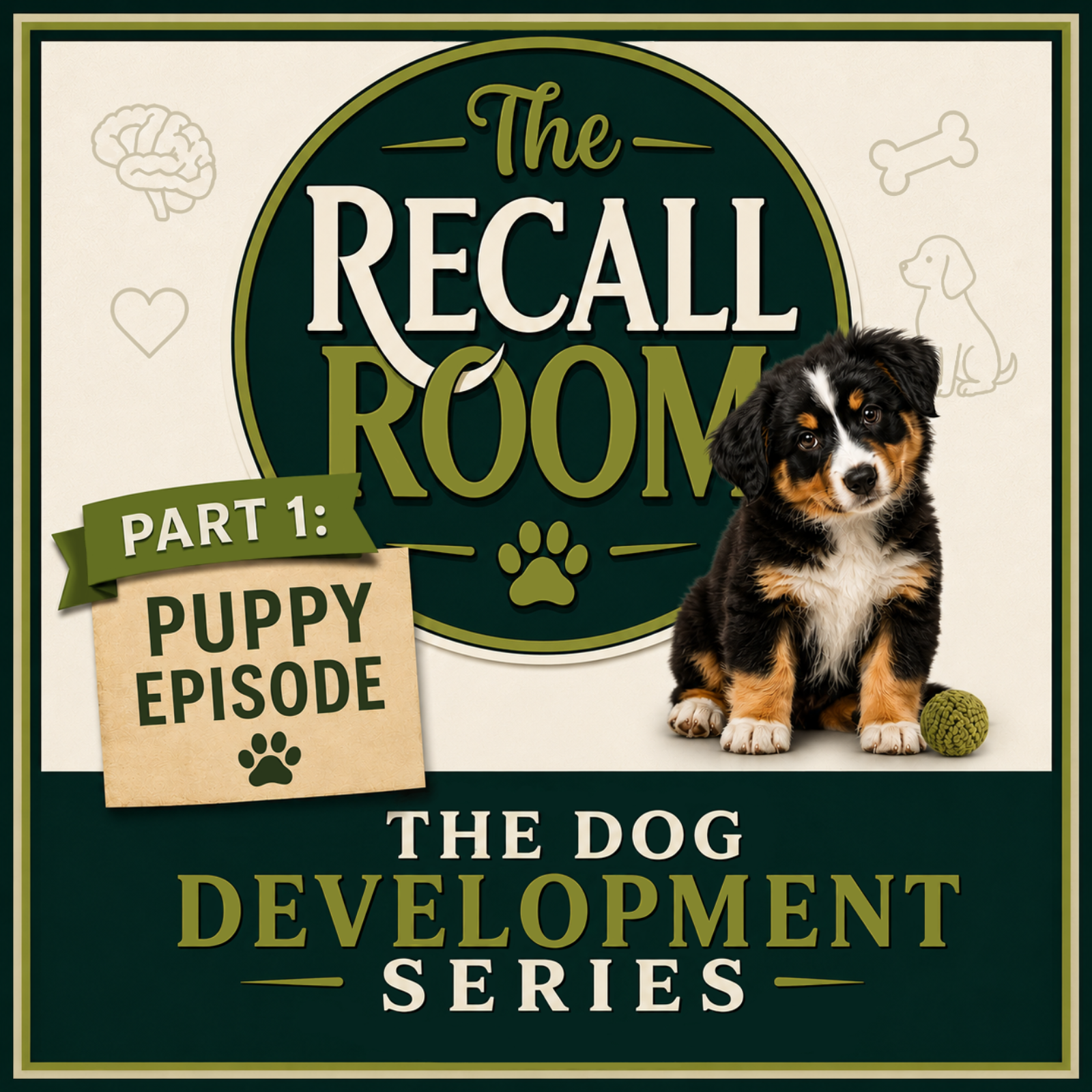 Puppies: Land Sharks & Learning Curves