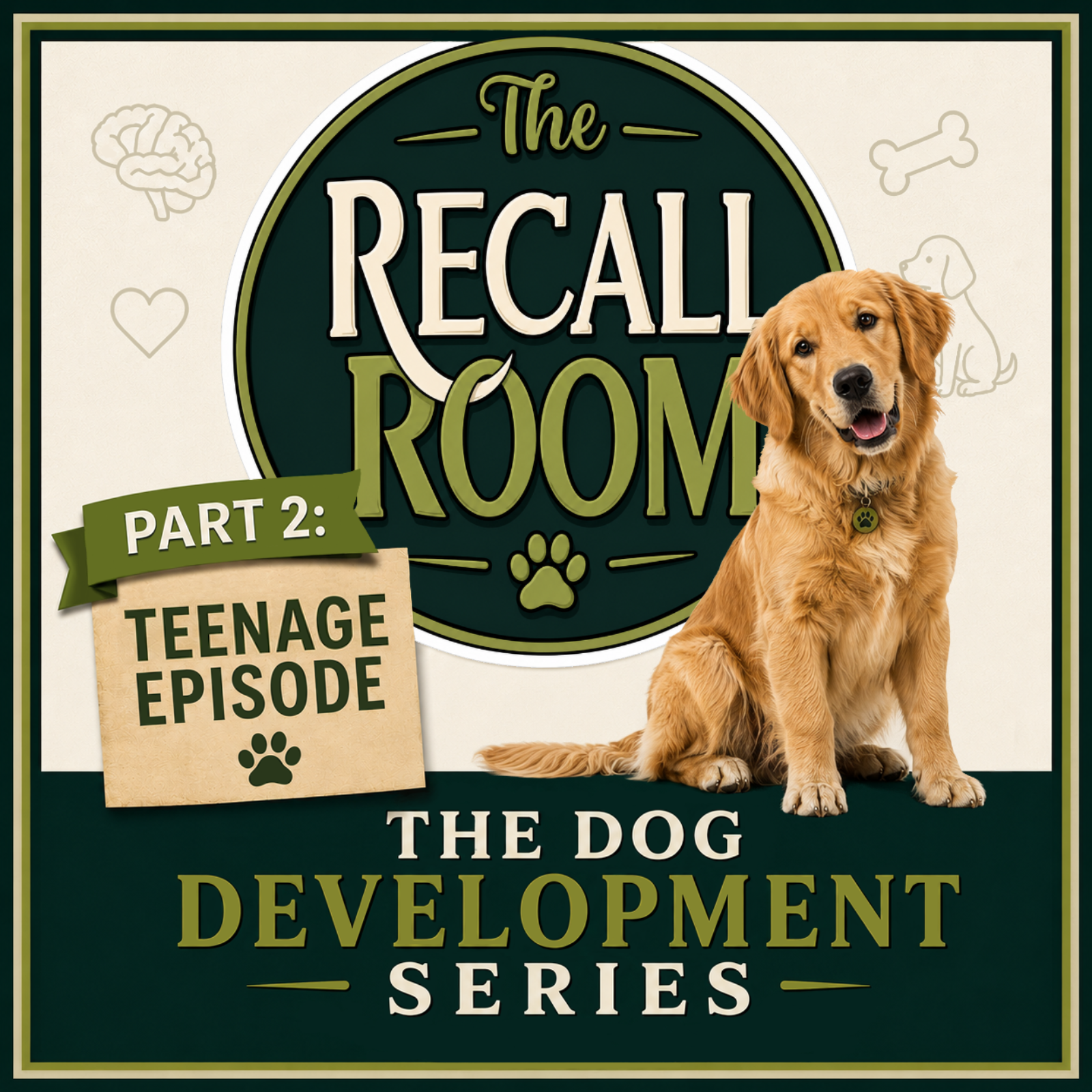 The Teenage Dog: Big Feelings & Bad Decisions