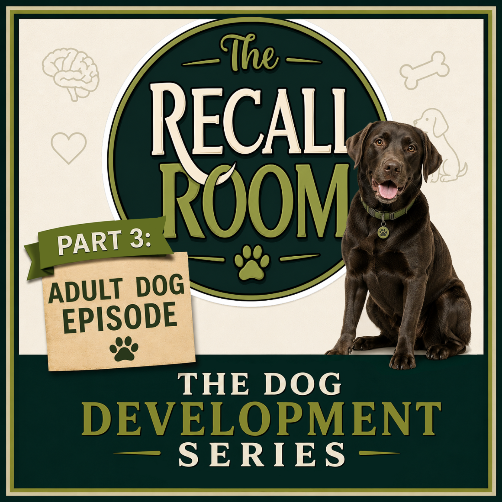 Adult Dogs: The Years We Often Take for Granted