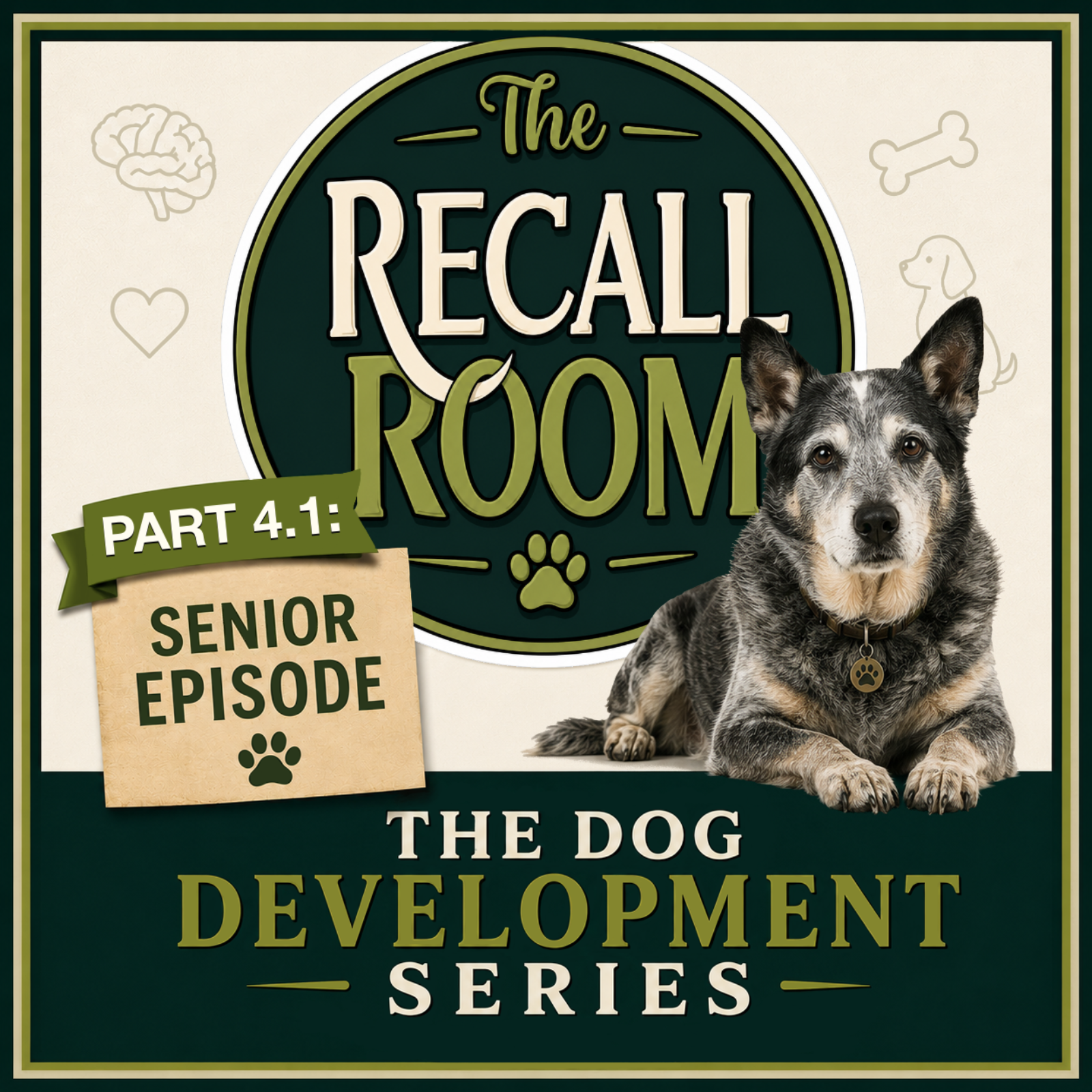 Senior Dogs: The Love That Never Slows Down