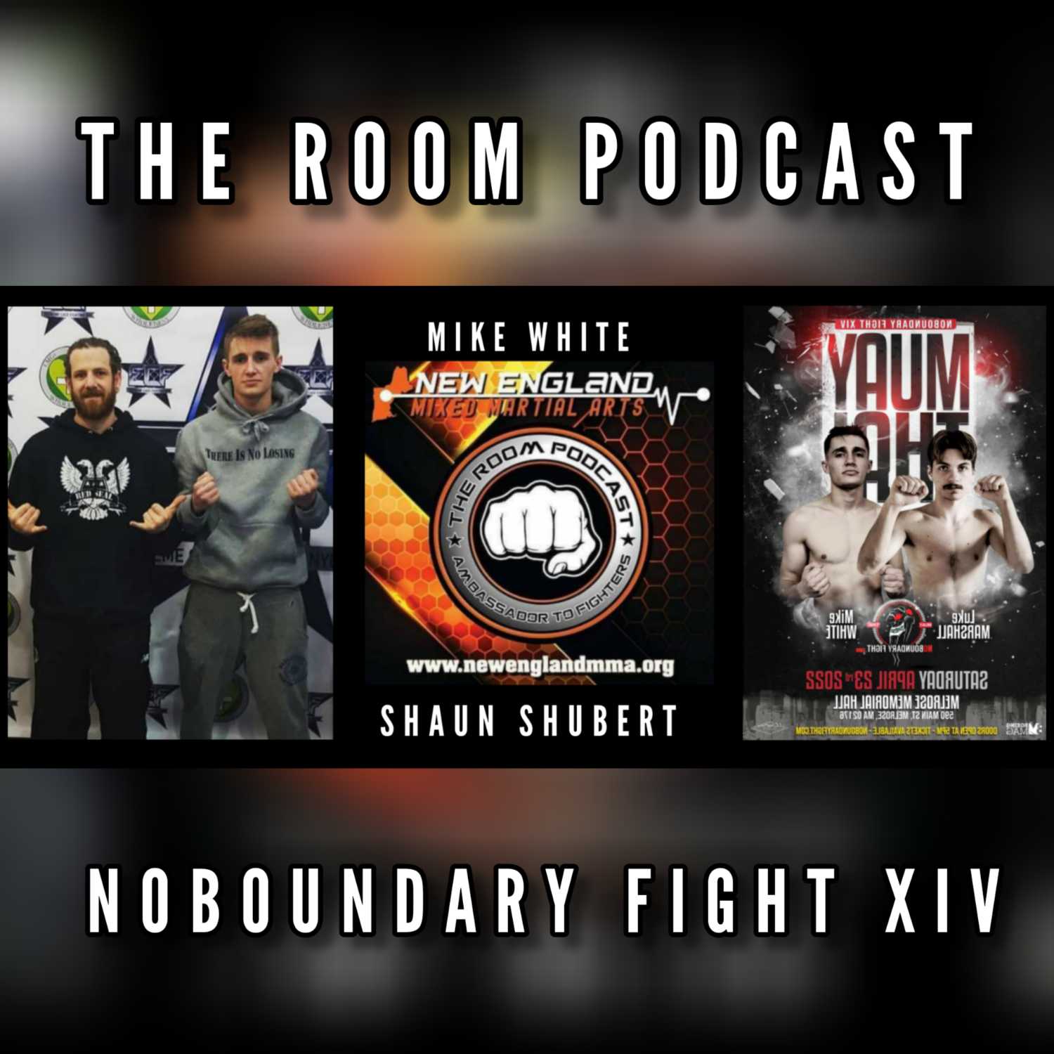 The Room Podcast - With Shaun Shubert & Mike White Talking Noboundary Fight XIV  episode artwork