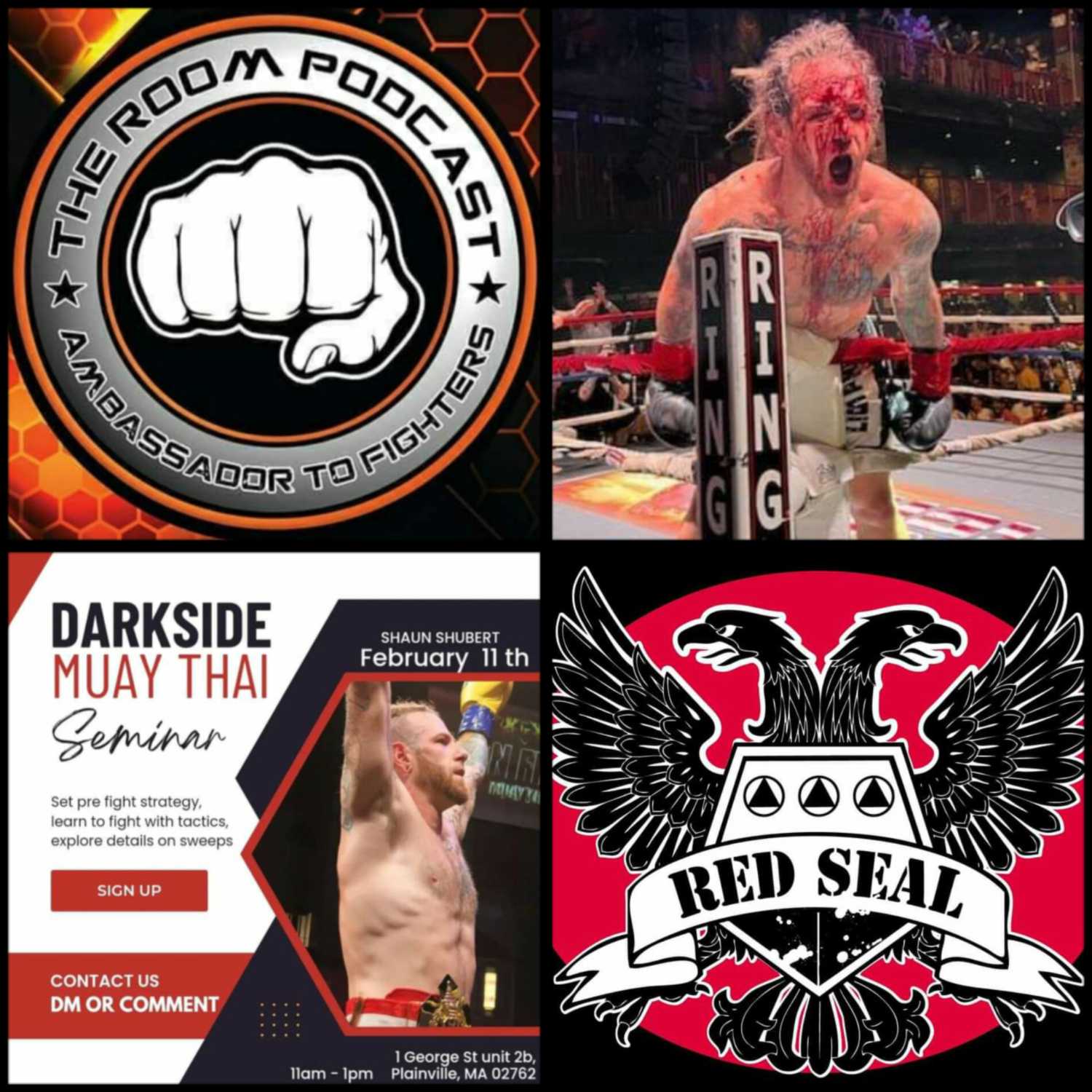 The Room Podcast Welcomes Pro Muay Thai Fighter Shaun Alden Shubert  episode artwork