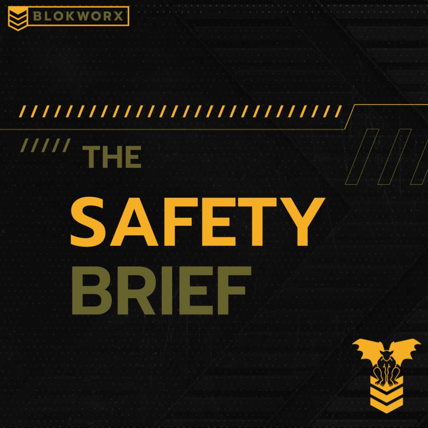 The Safety Brief