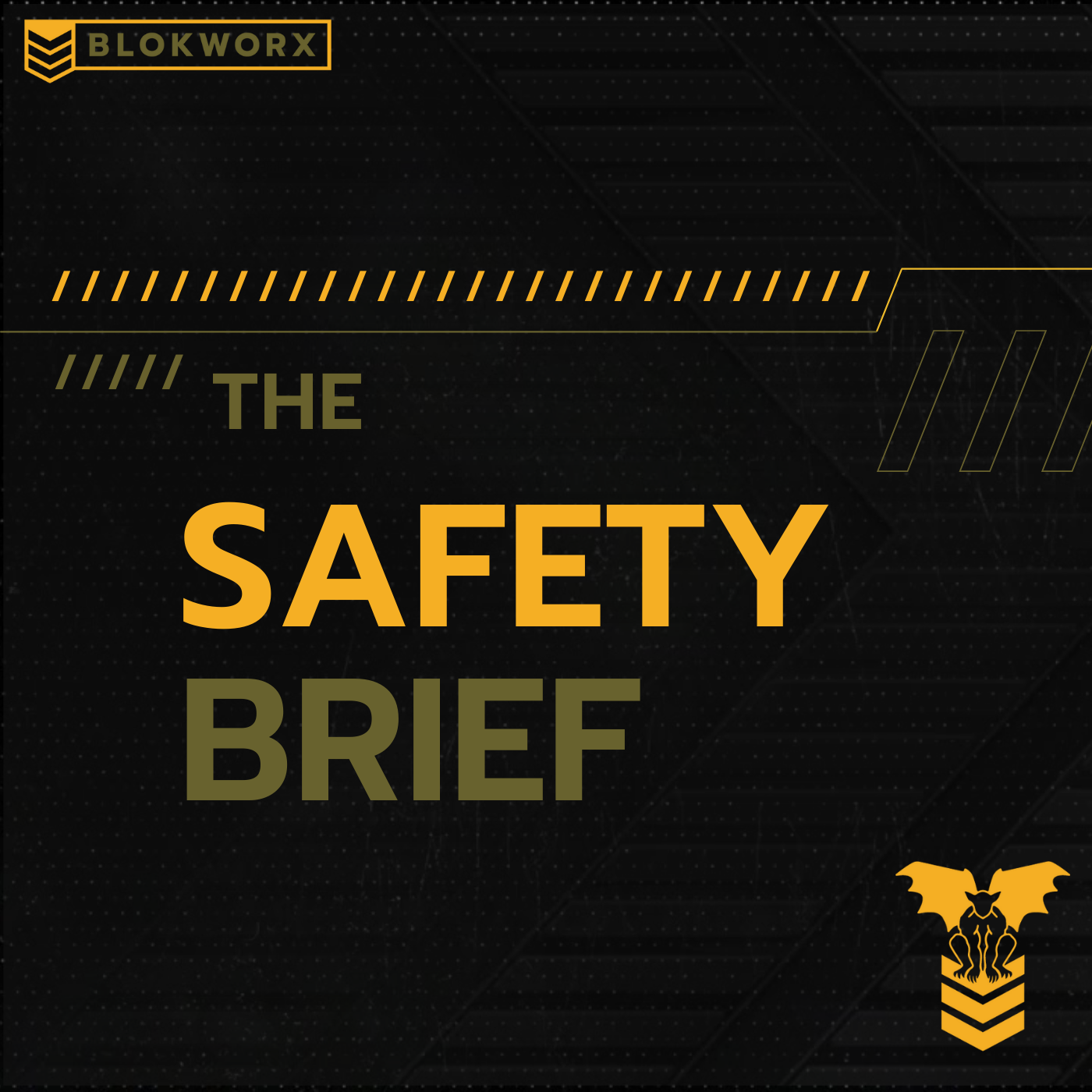 The Safety Brief