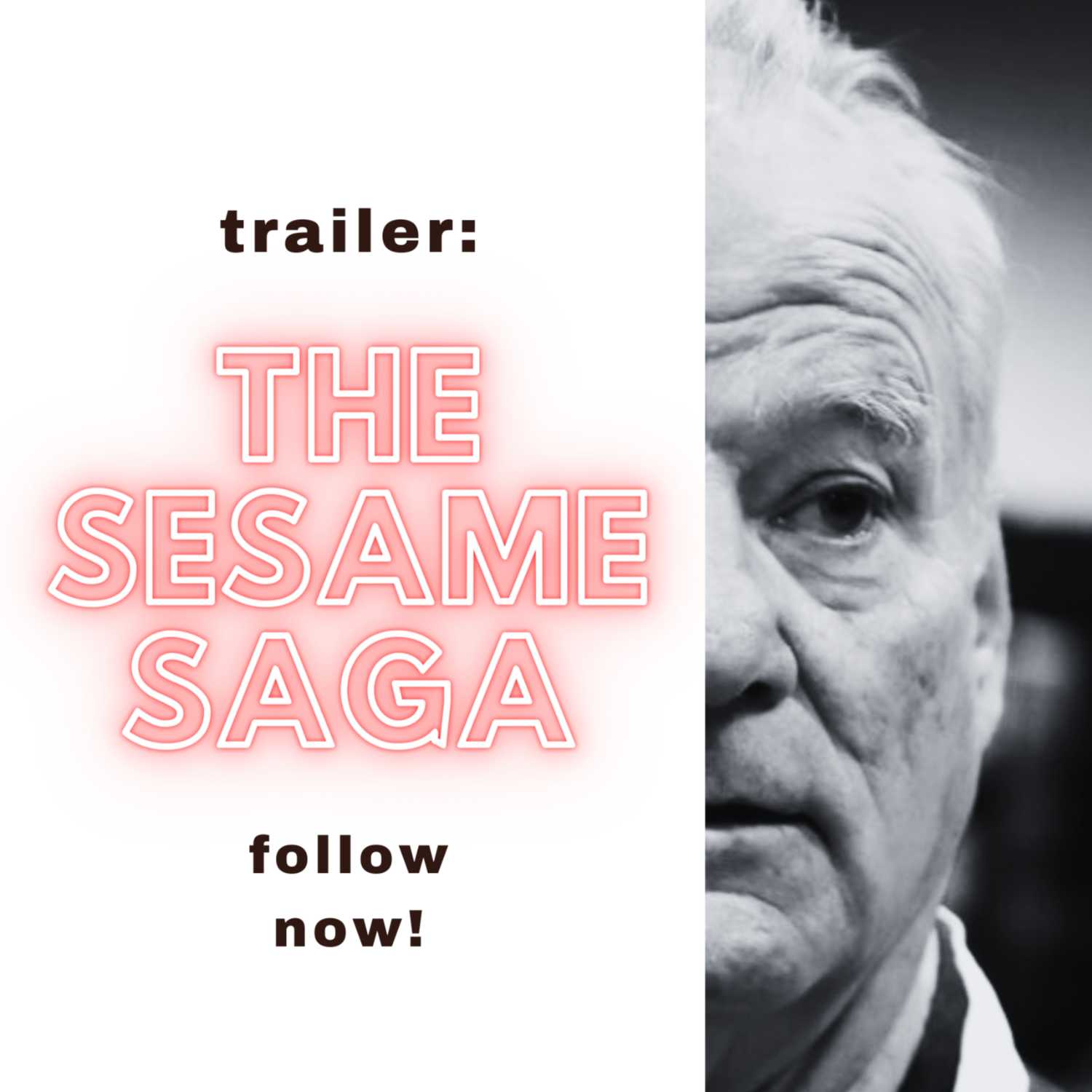 The Sesame Saga