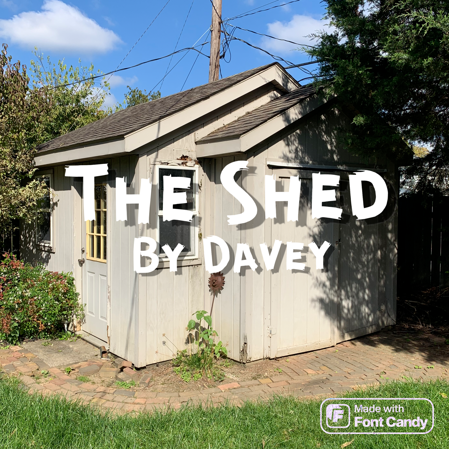 The Shed