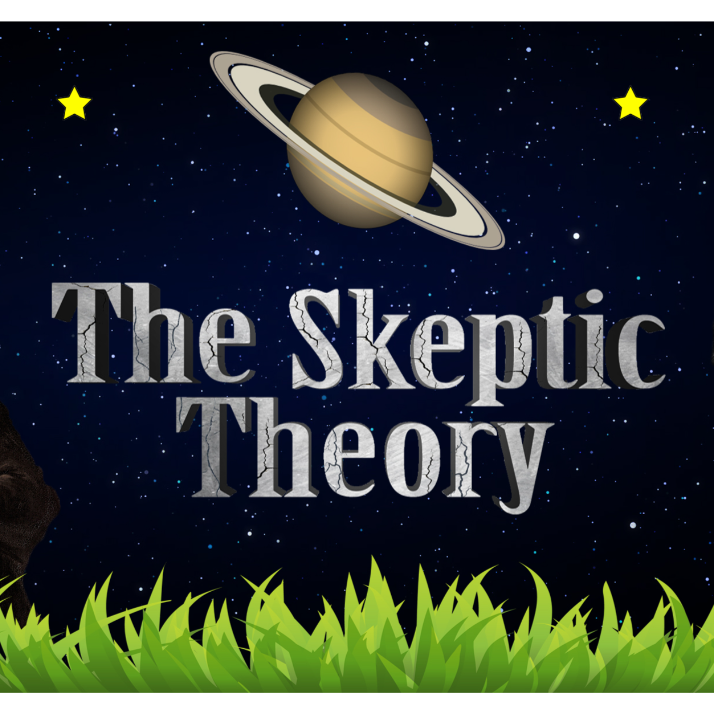The Skeptic Theory