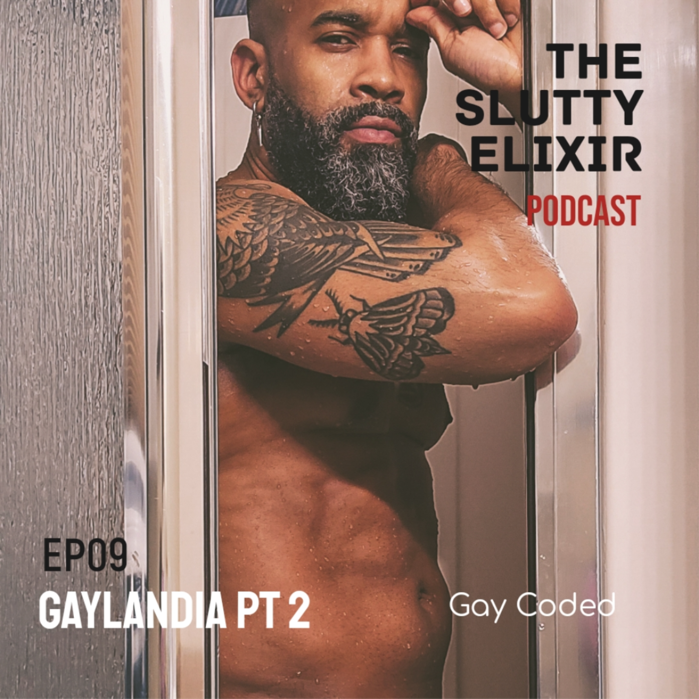Gaylandia Pt 2: Gay Coded episode artwork