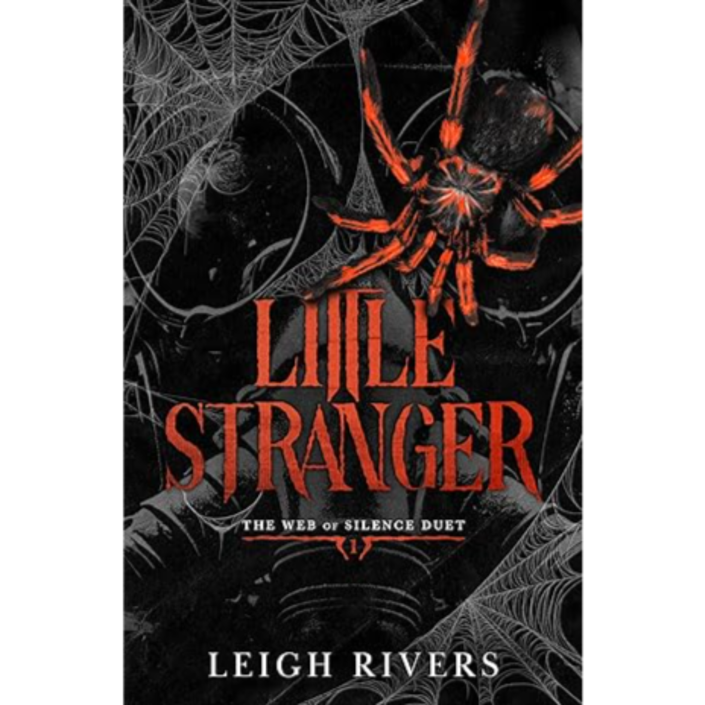 Little Stranger - Leigh Rivers