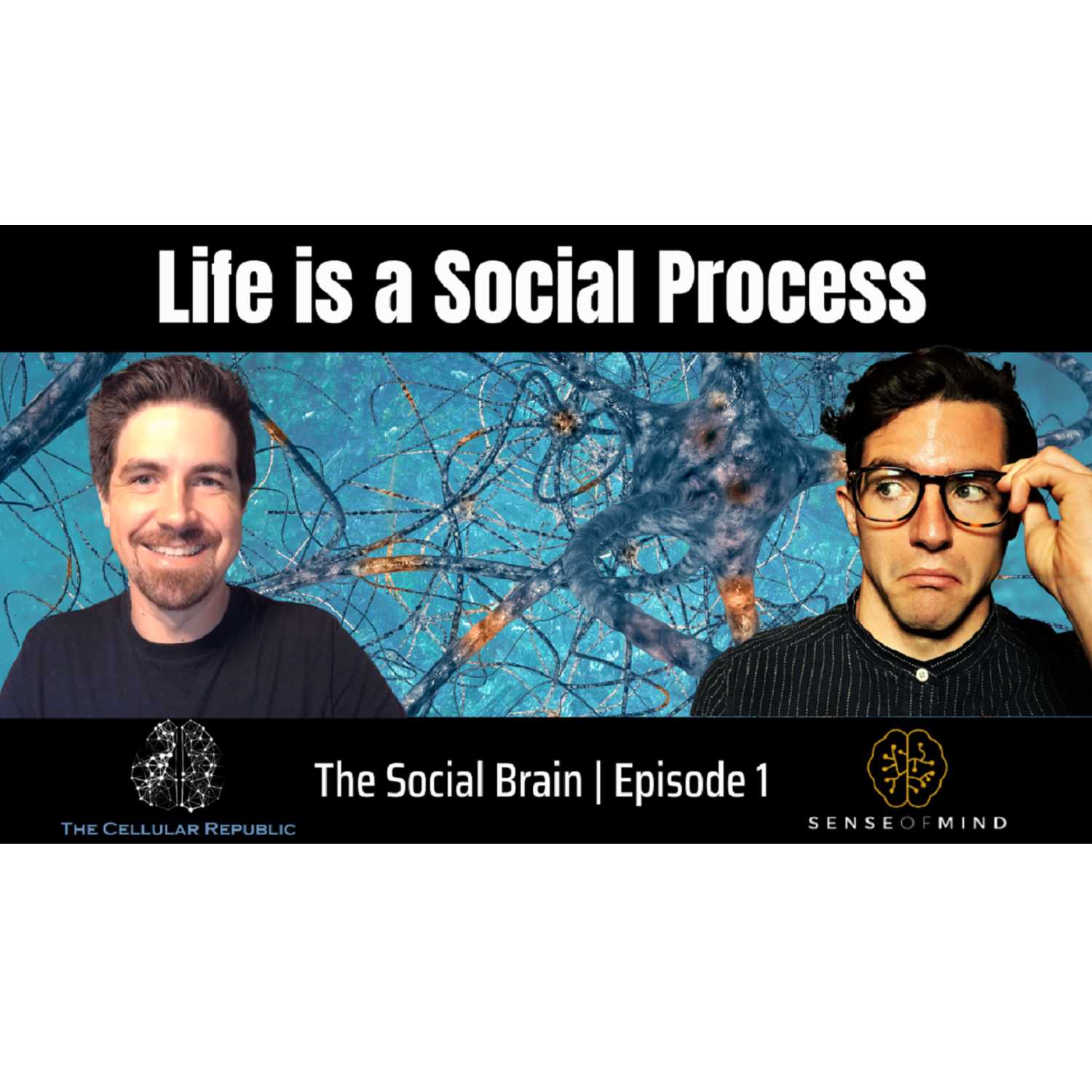 The Social Brain