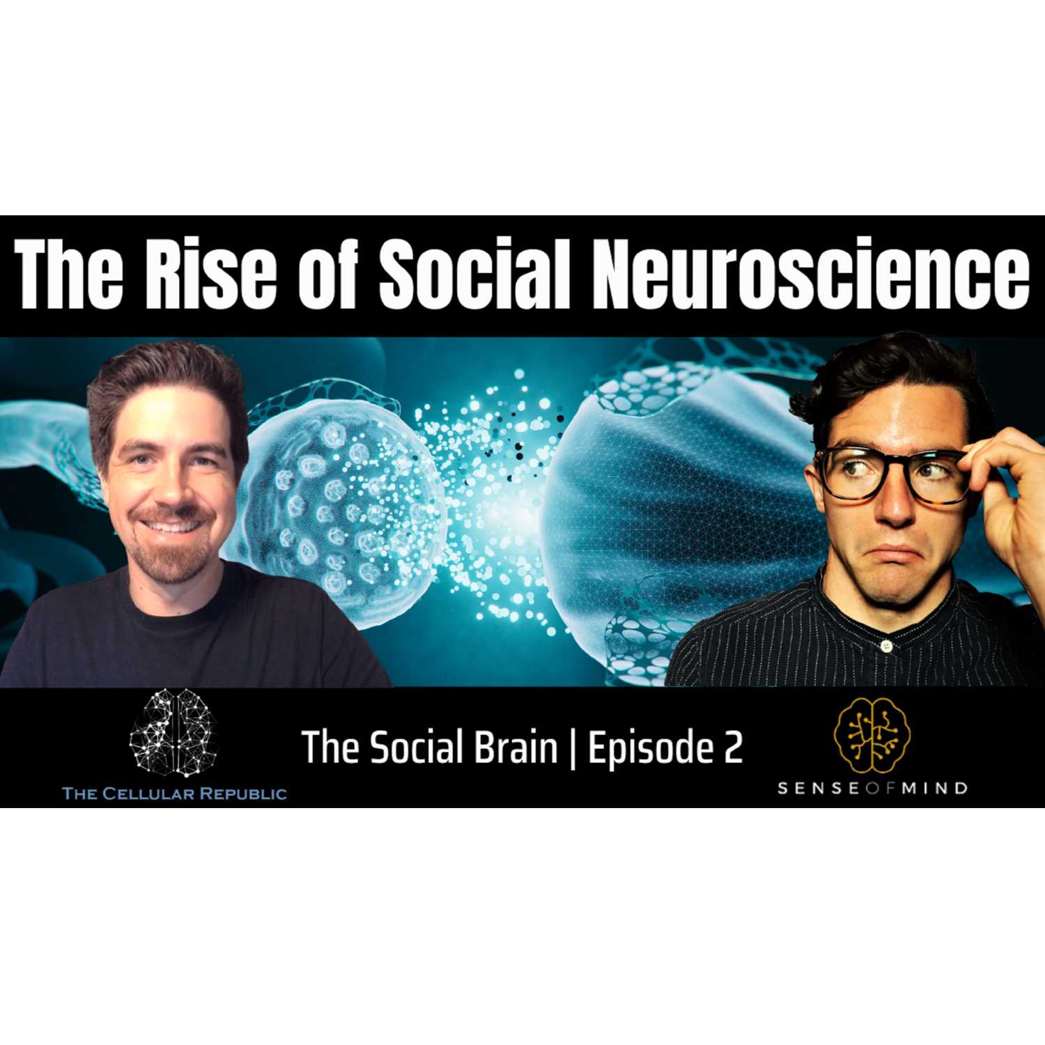 The Social Brain