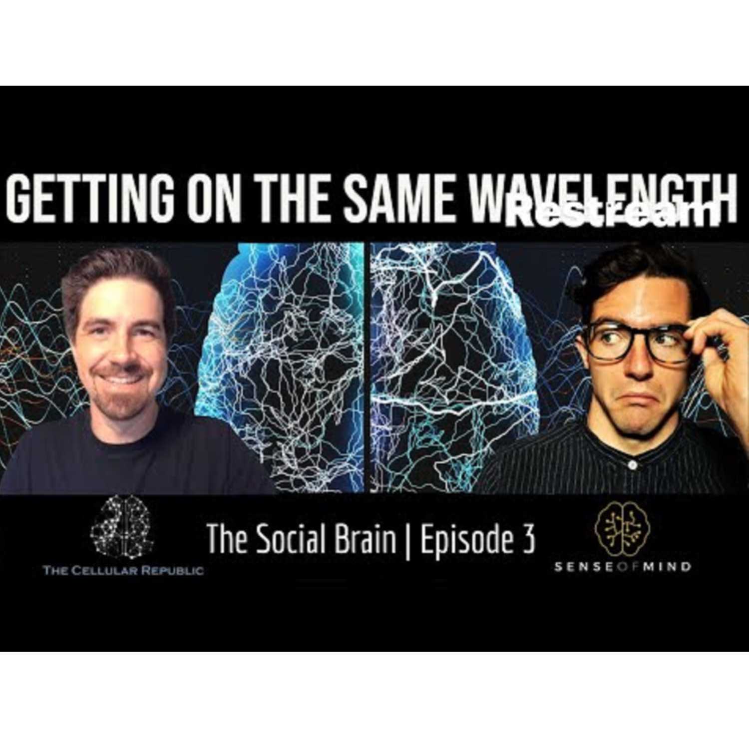 The Social Brain