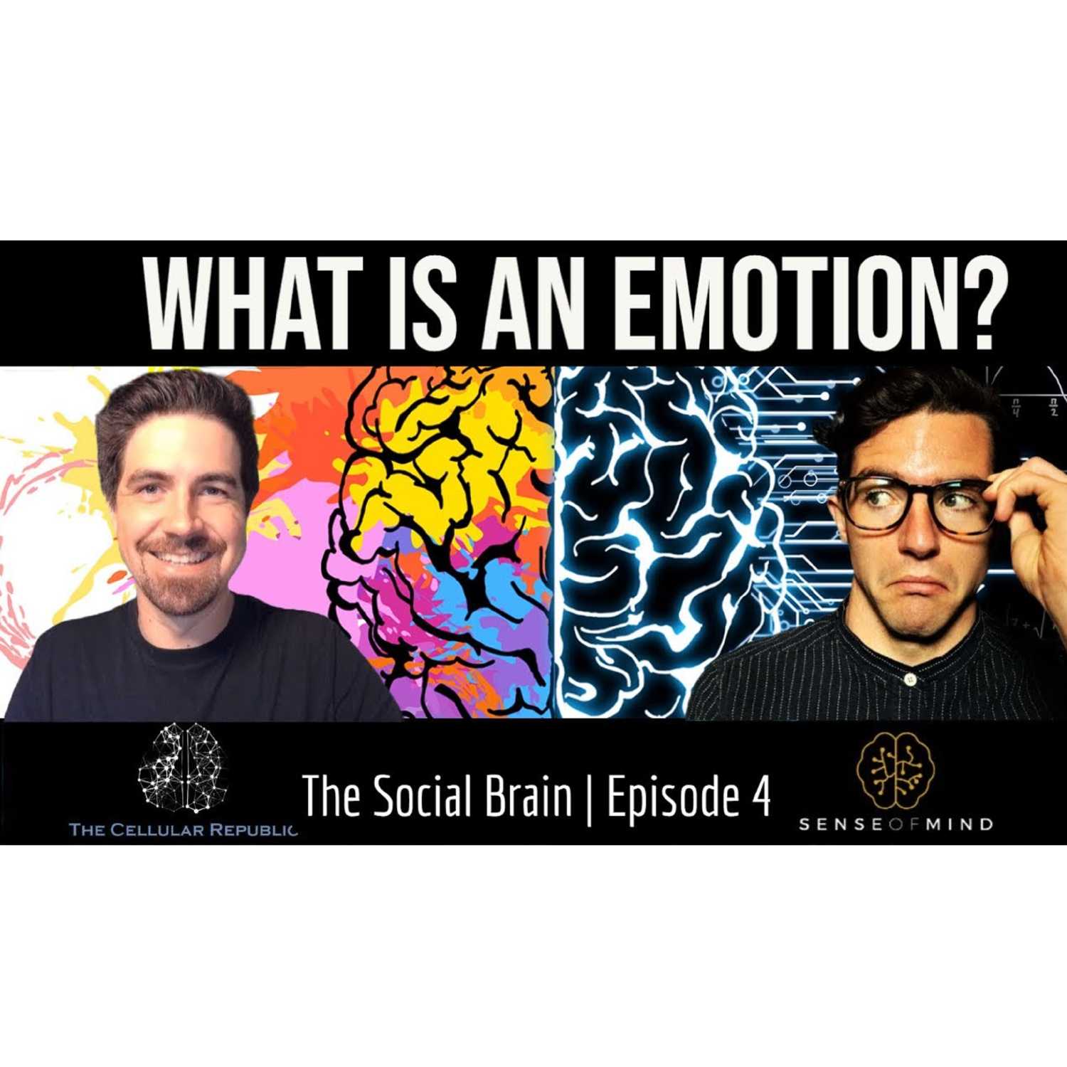 The Social Brain