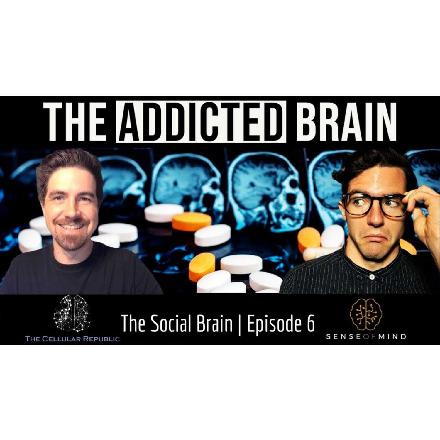 The Social Brain