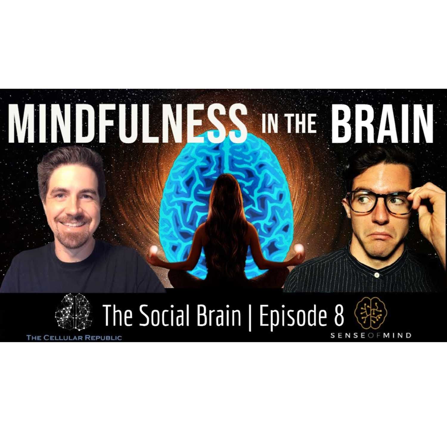 The Social Brain
