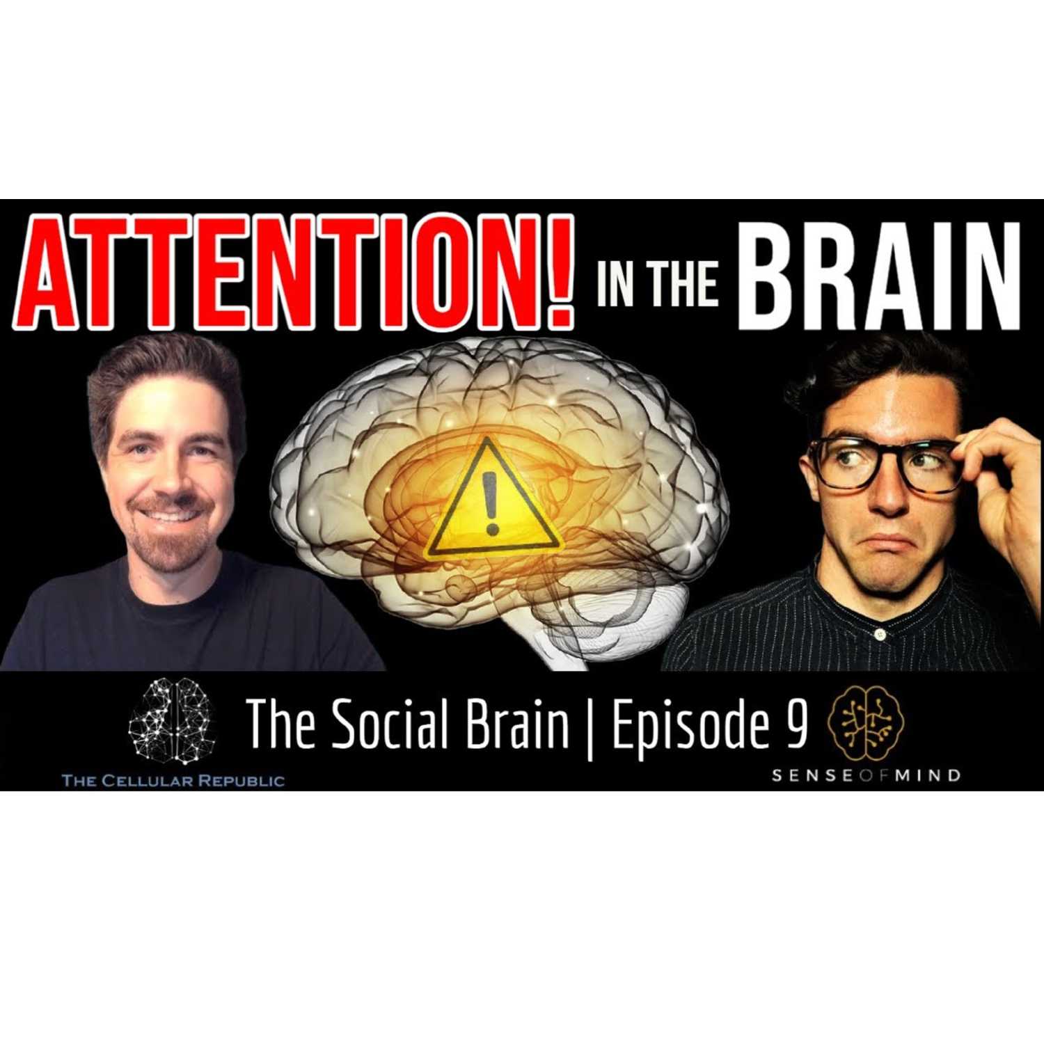 The Social Brain