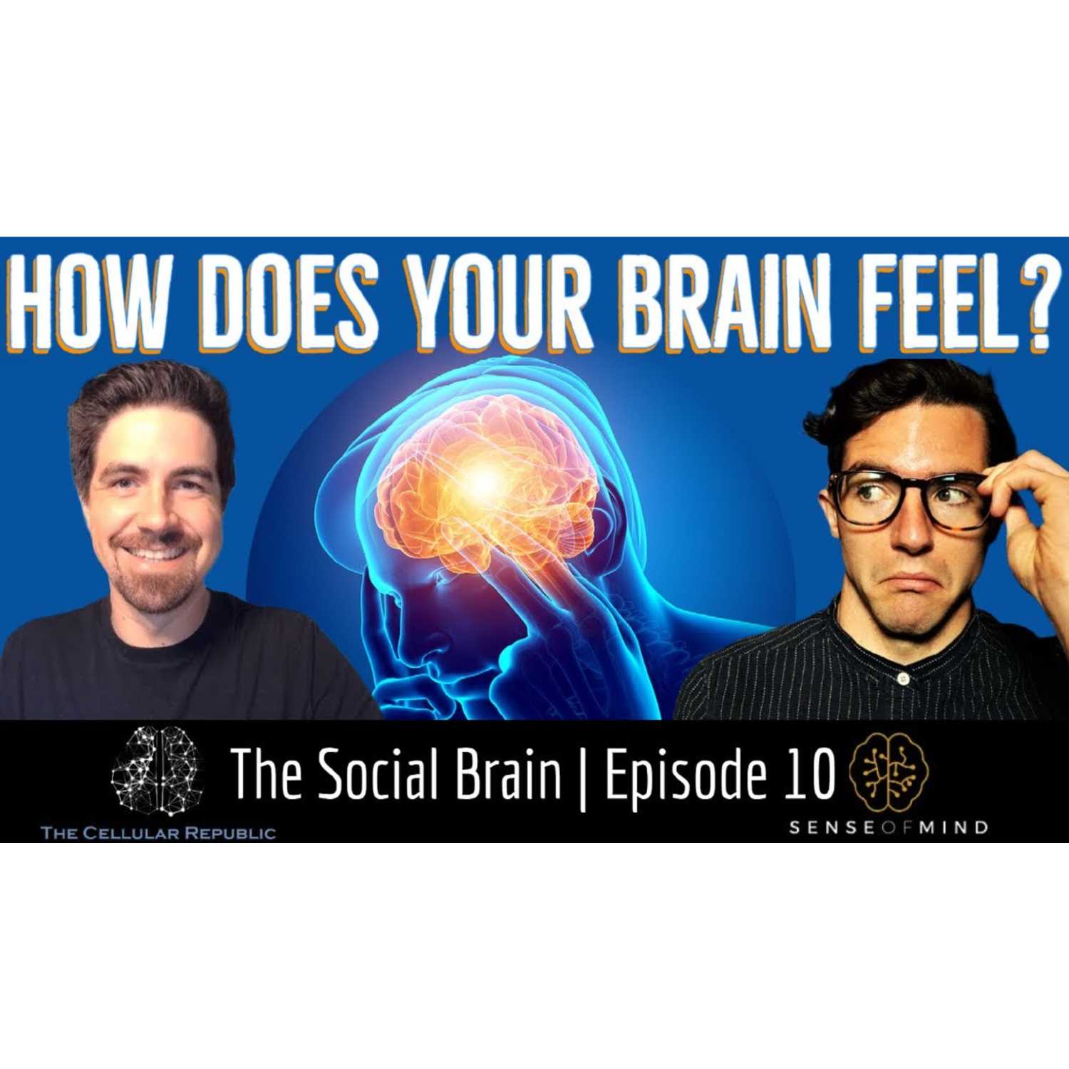 The Social Brain